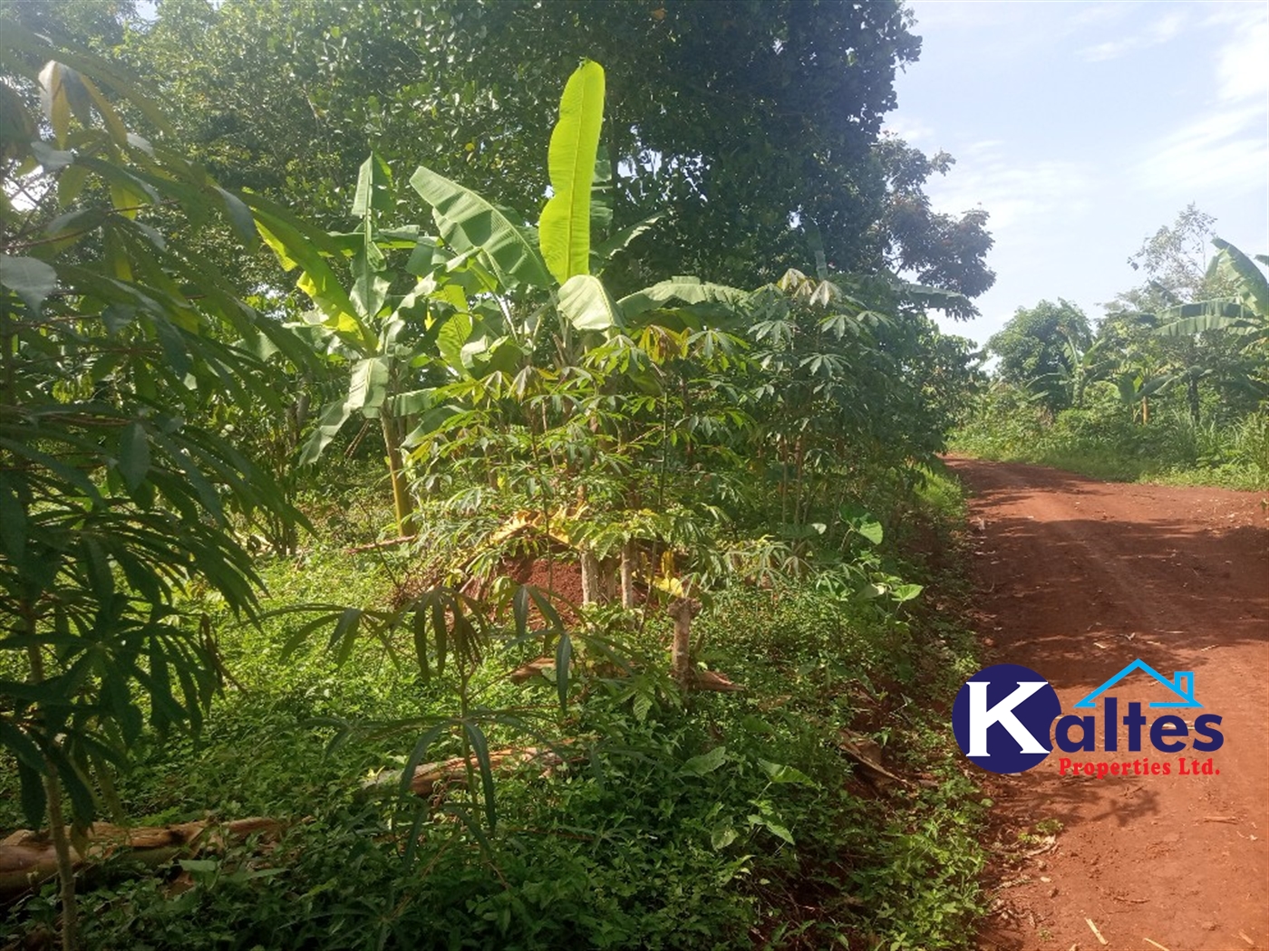 Agricultural Land for sale in Ntenjjeru Mukono