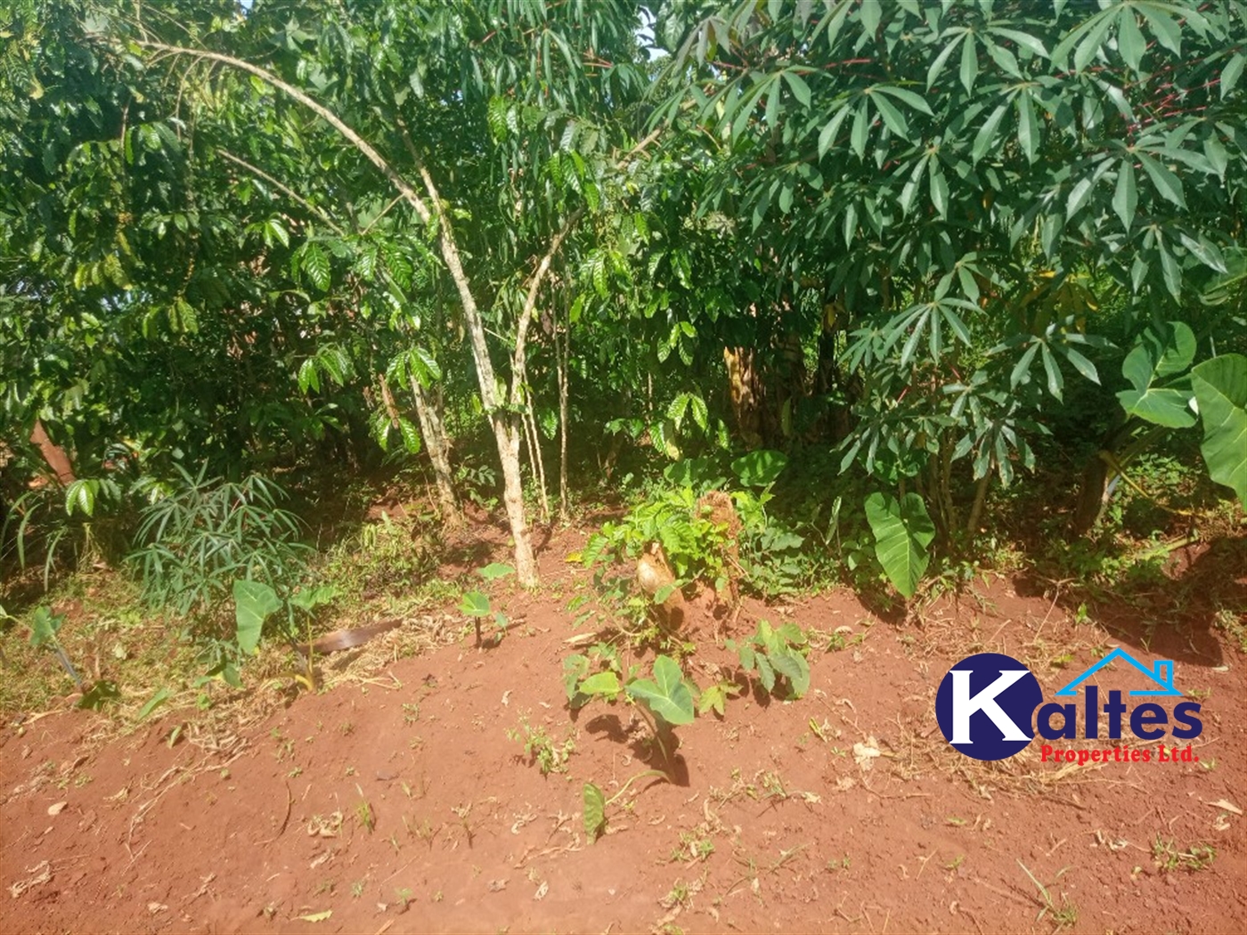 Agricultural Land for sale in Ntenjjeru Mukono