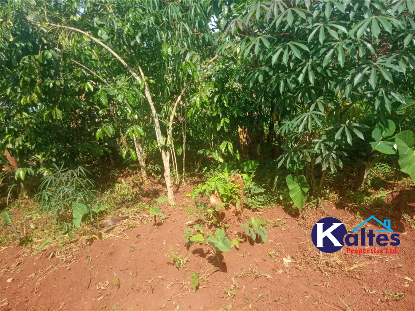 Agricultural Land for sale in Ntenjjeru Mukono