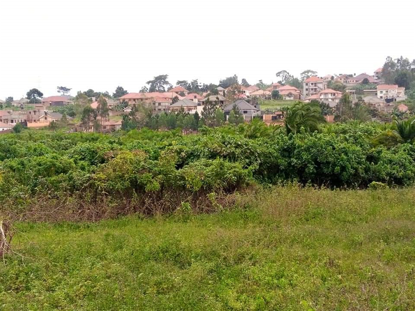 Residential Land for sale in Kira Wakiso