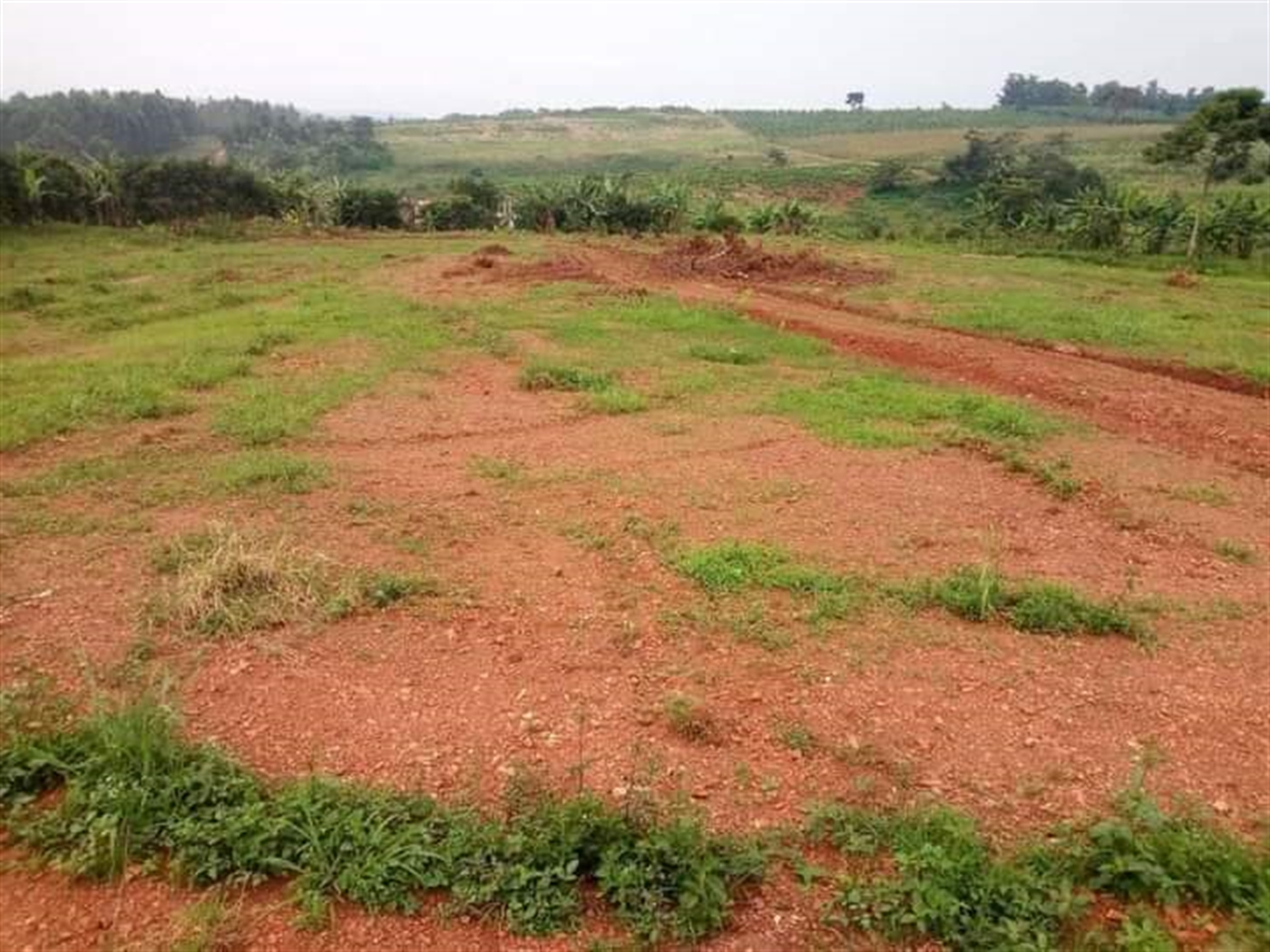 Residential Land for sale in Namayiba Mukono