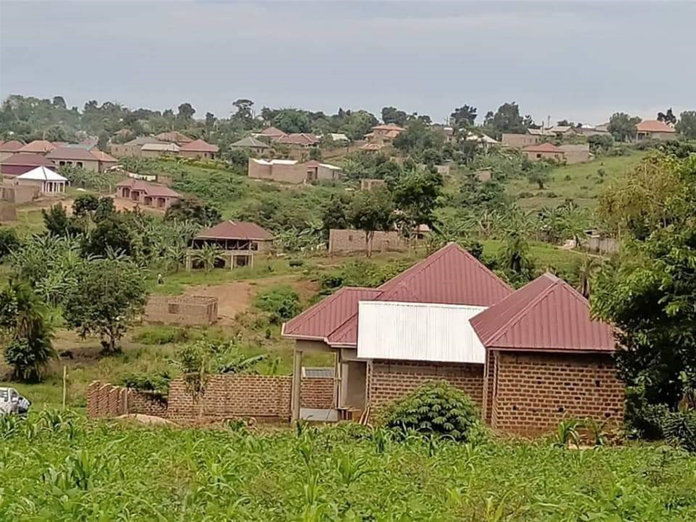 Residential Land for sale in Buwambo Wakiso