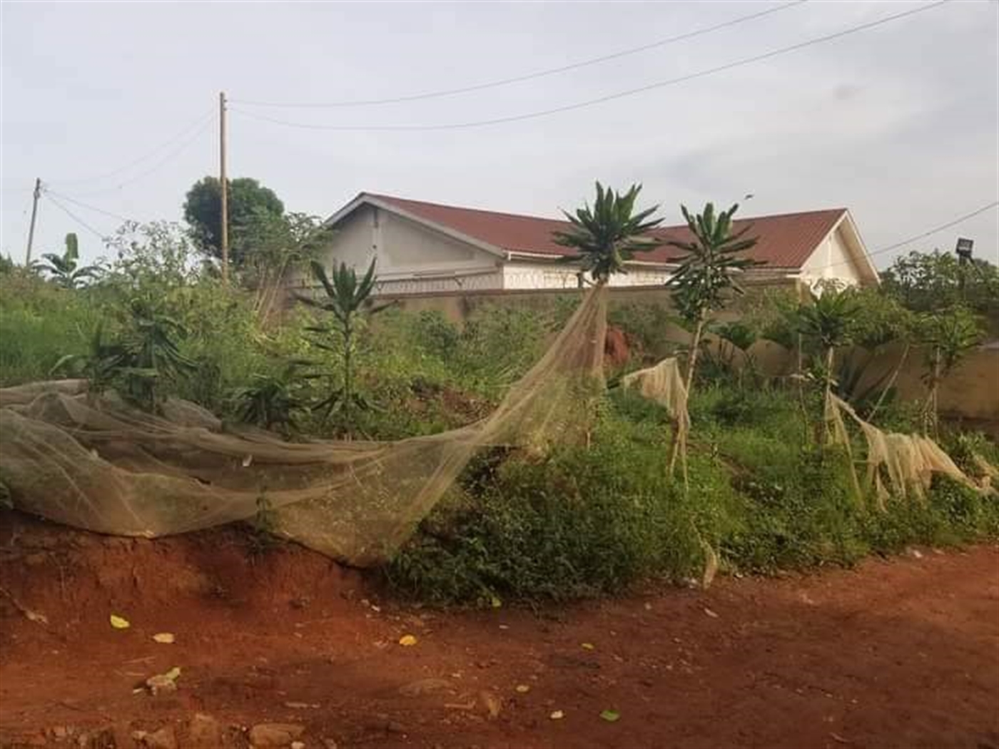 Residential Land for sale in Kisaasi Kampala