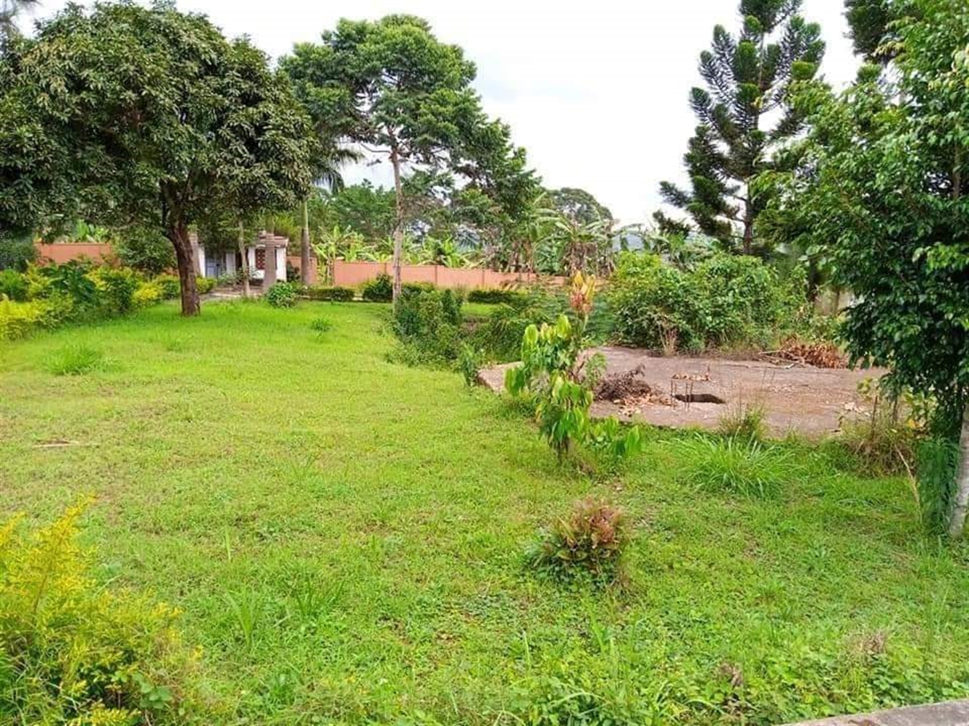 Bungalow for sale in Namugongo Wakiso