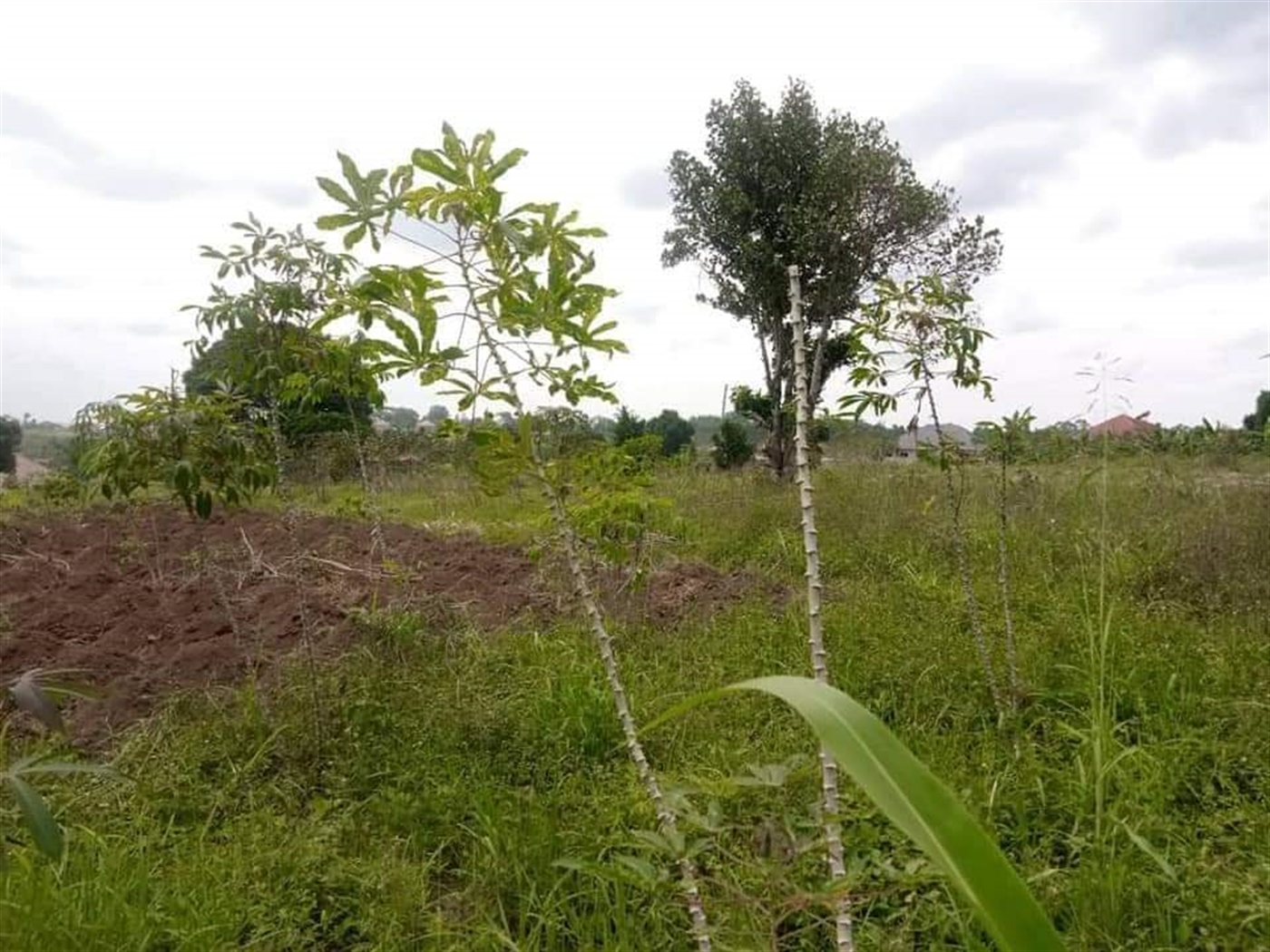 Residential Land for sale in Matugga Luweero