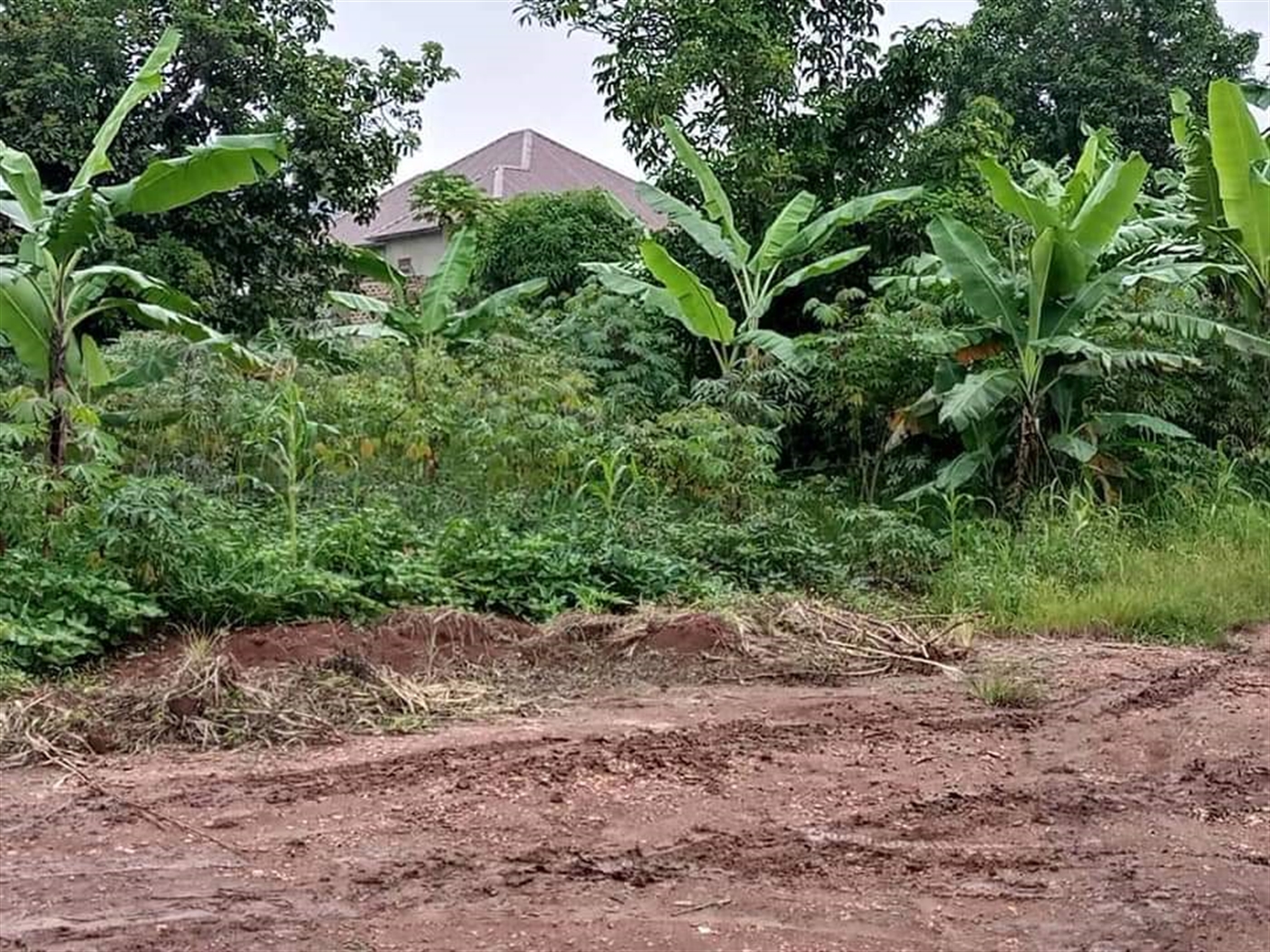 Residential Land for sale in Namugongo Wakiso