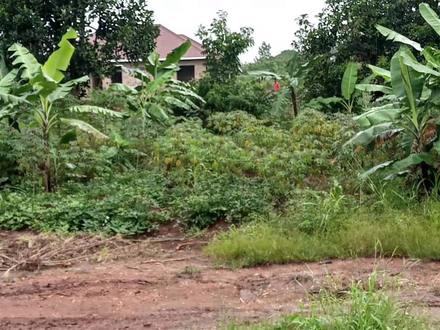 Residential Land for sale in Namugongo Wakiso