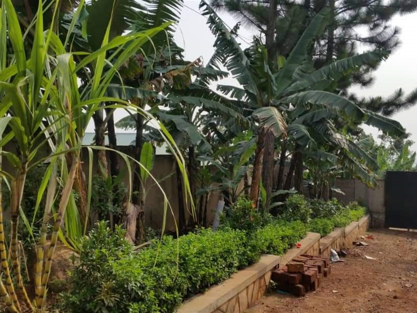 Bungalow for sale in Namugongo Wakiso