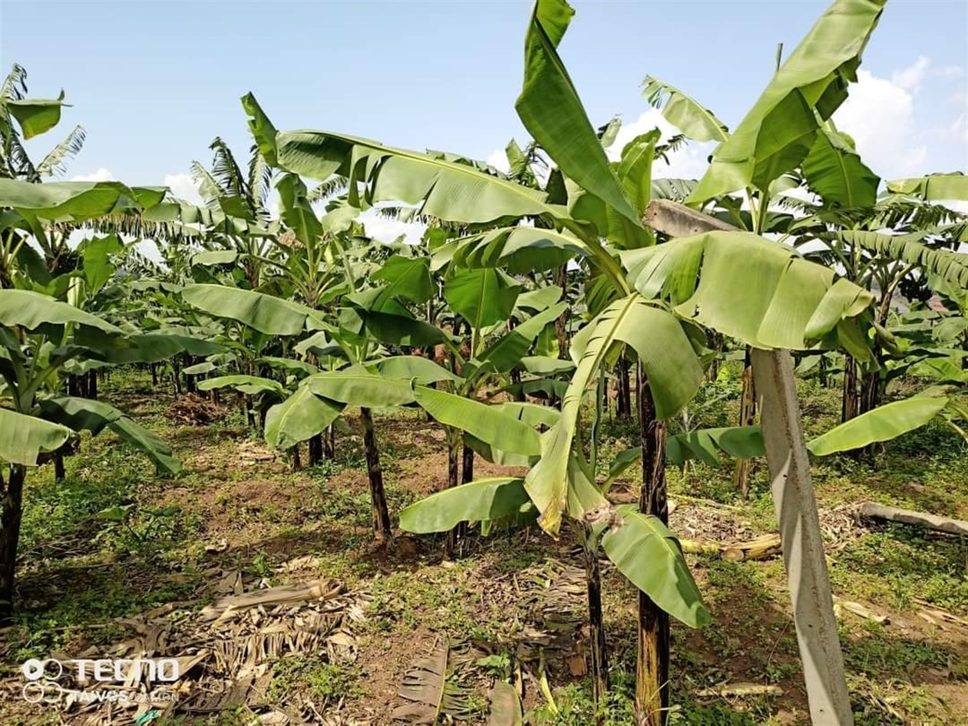 Residential Land for sale in Namugongo Wakiso