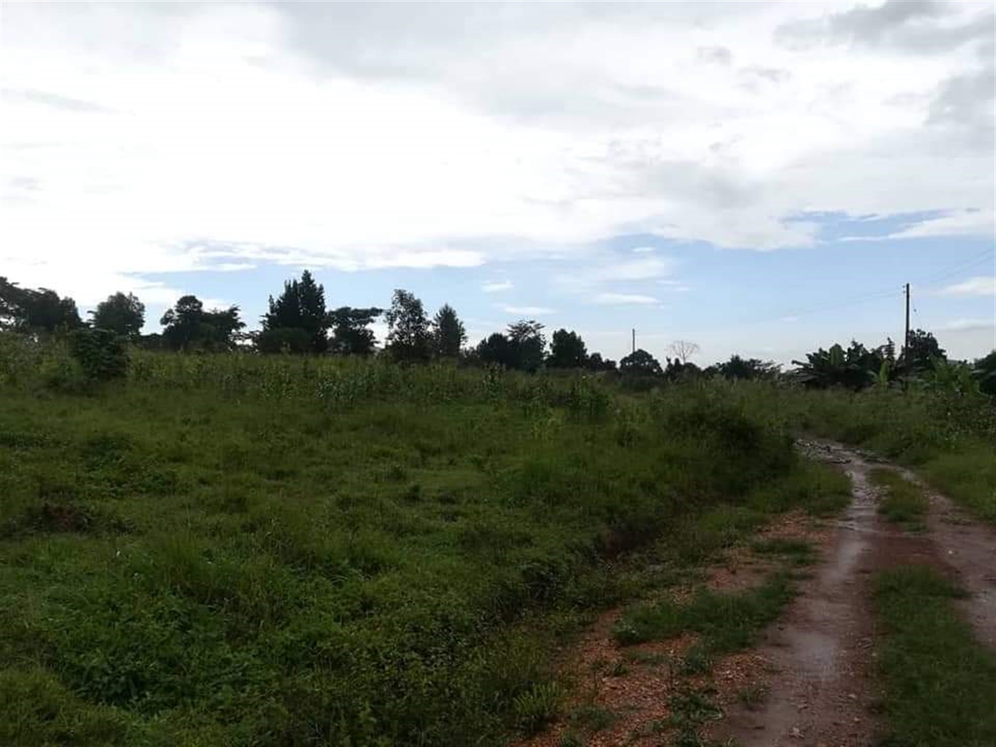 Residential Land for sale in Nakisunga Mukono