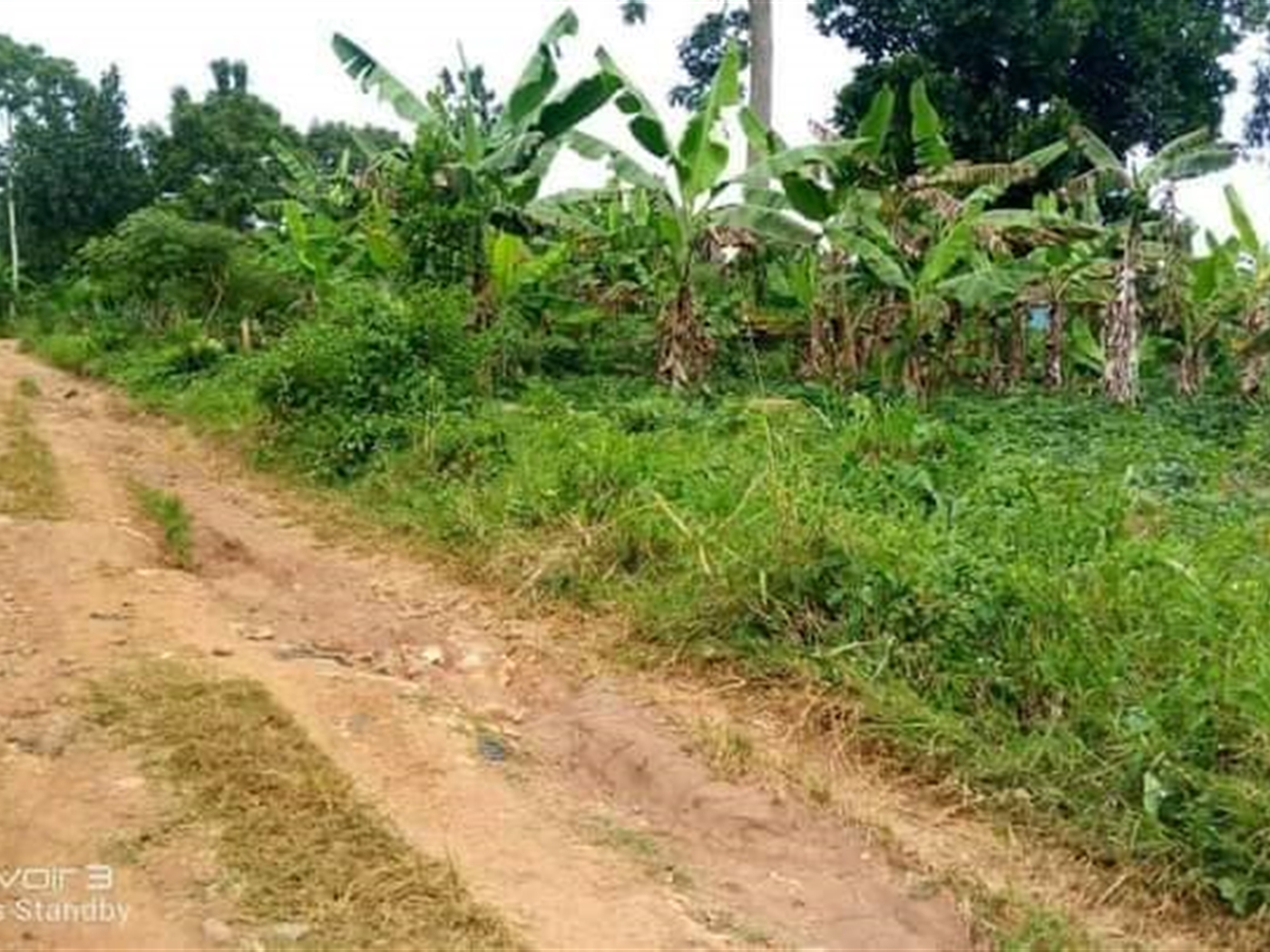 Residential Land for sale in Seeta Mukono