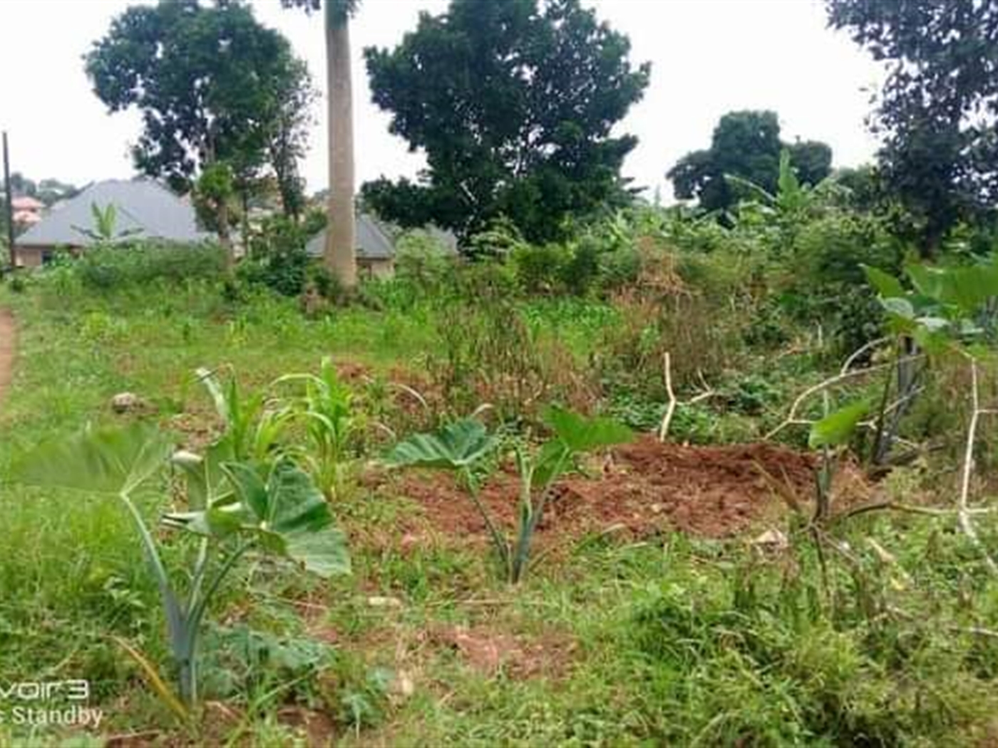 Residential Land for sale in Seeta Mukono