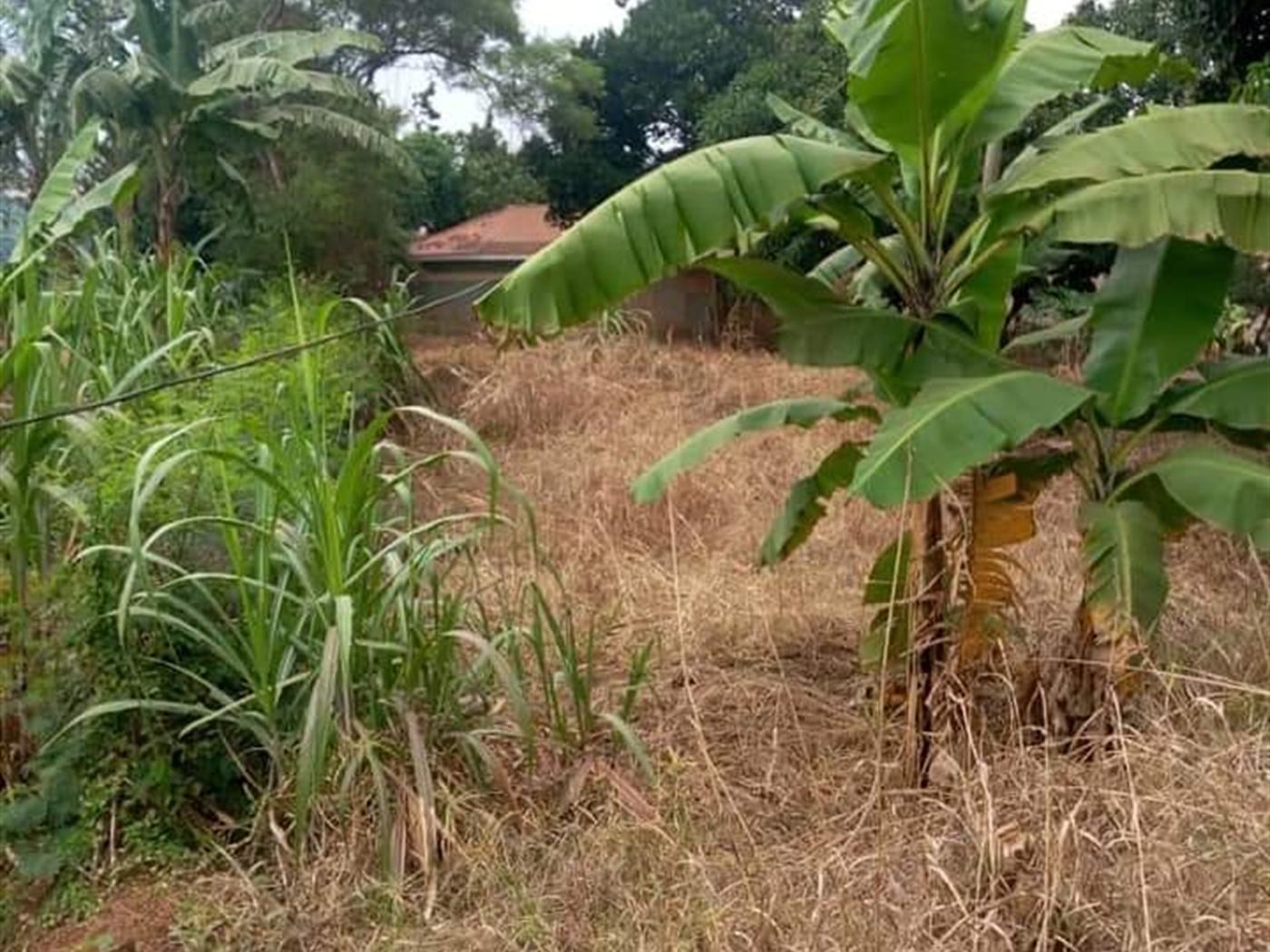 Residential Land for sale in Mpererwe Kampala