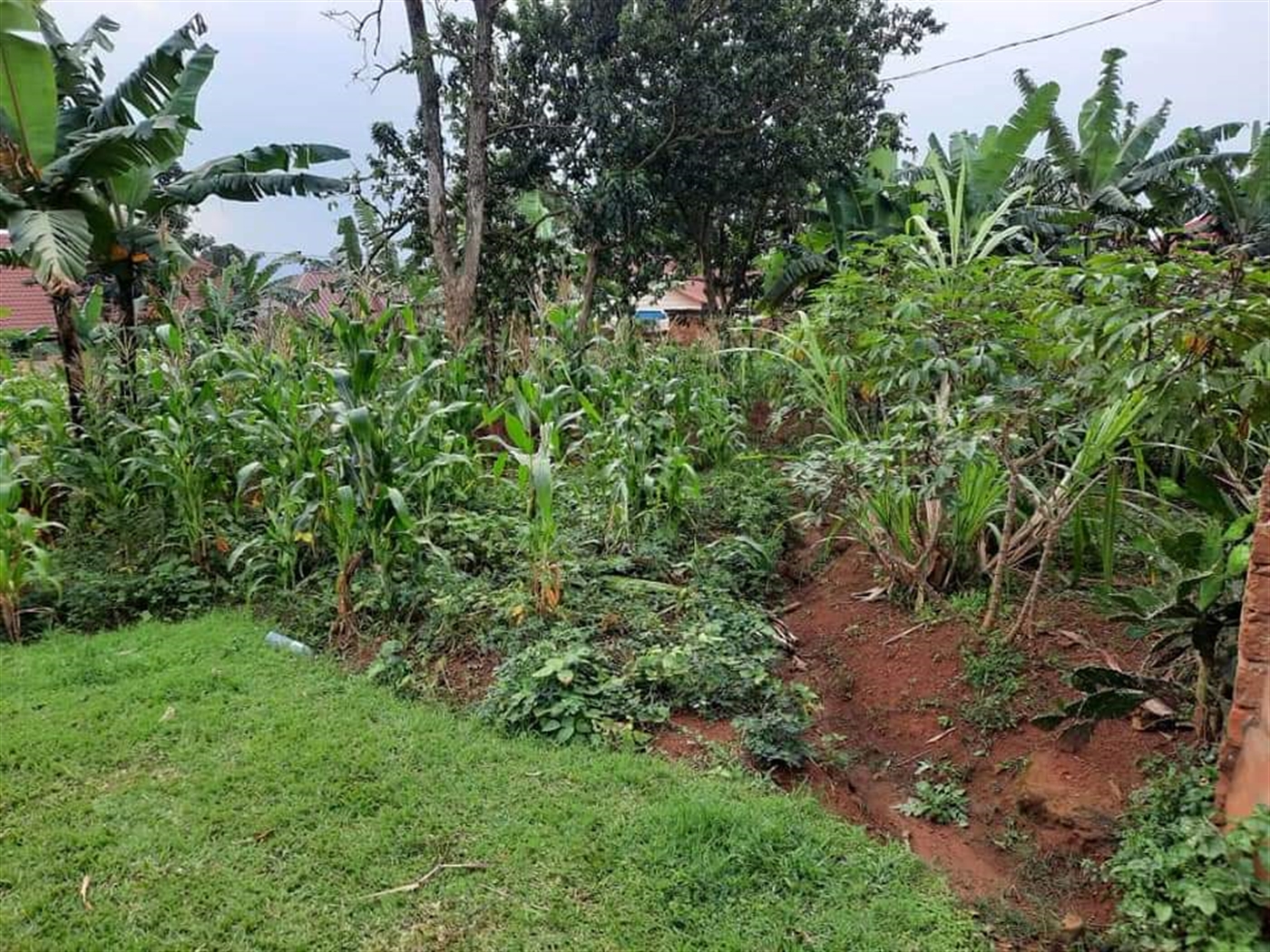 Residential Land for sale in Lubaga Kampala