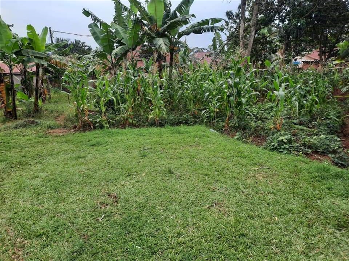 Residential Land for sale in Lubaga Kampala