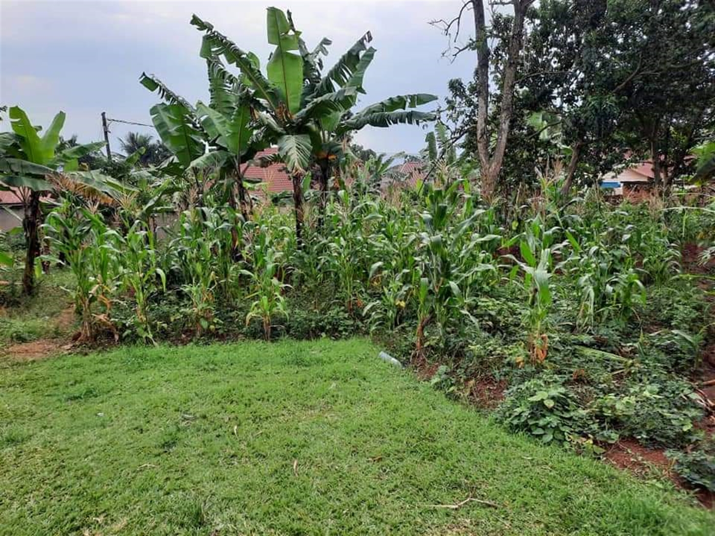 Residential Land for sale in Lubaga Kampala