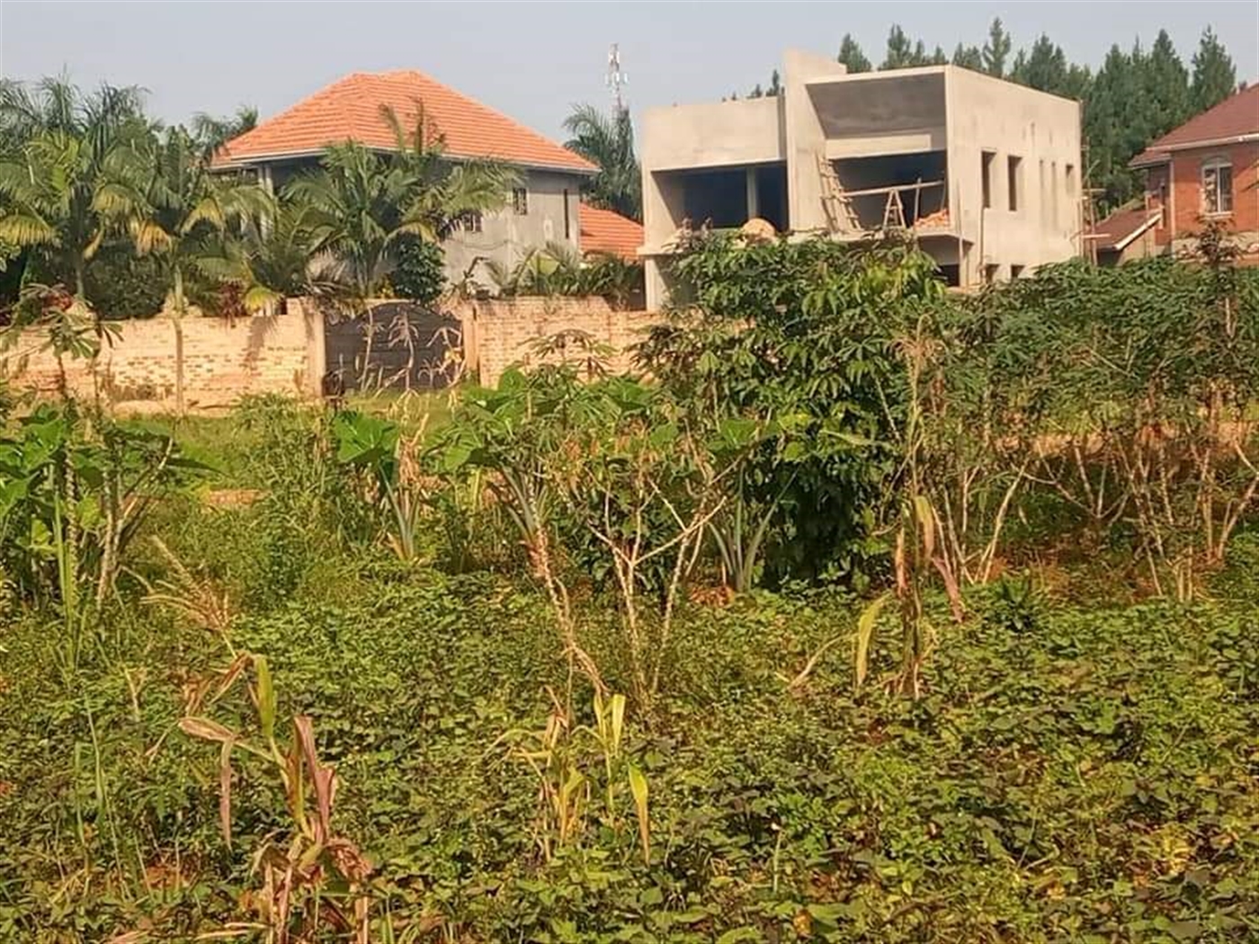 Residential Land for sale in Bwelenga Kampala