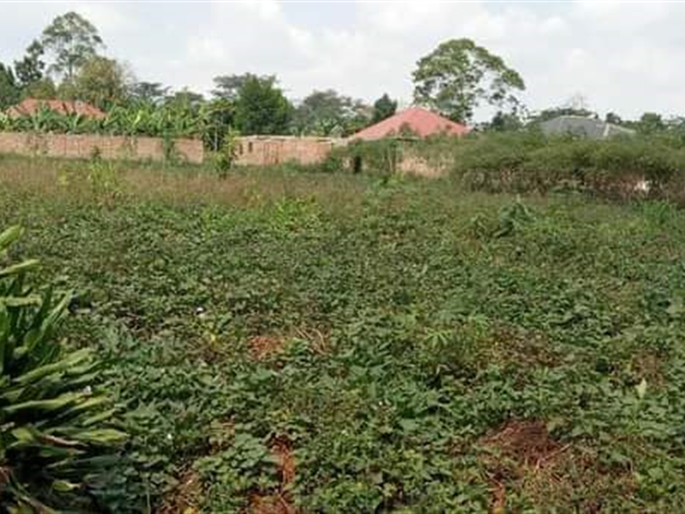 Residential Land for sale in Seeta Mukono