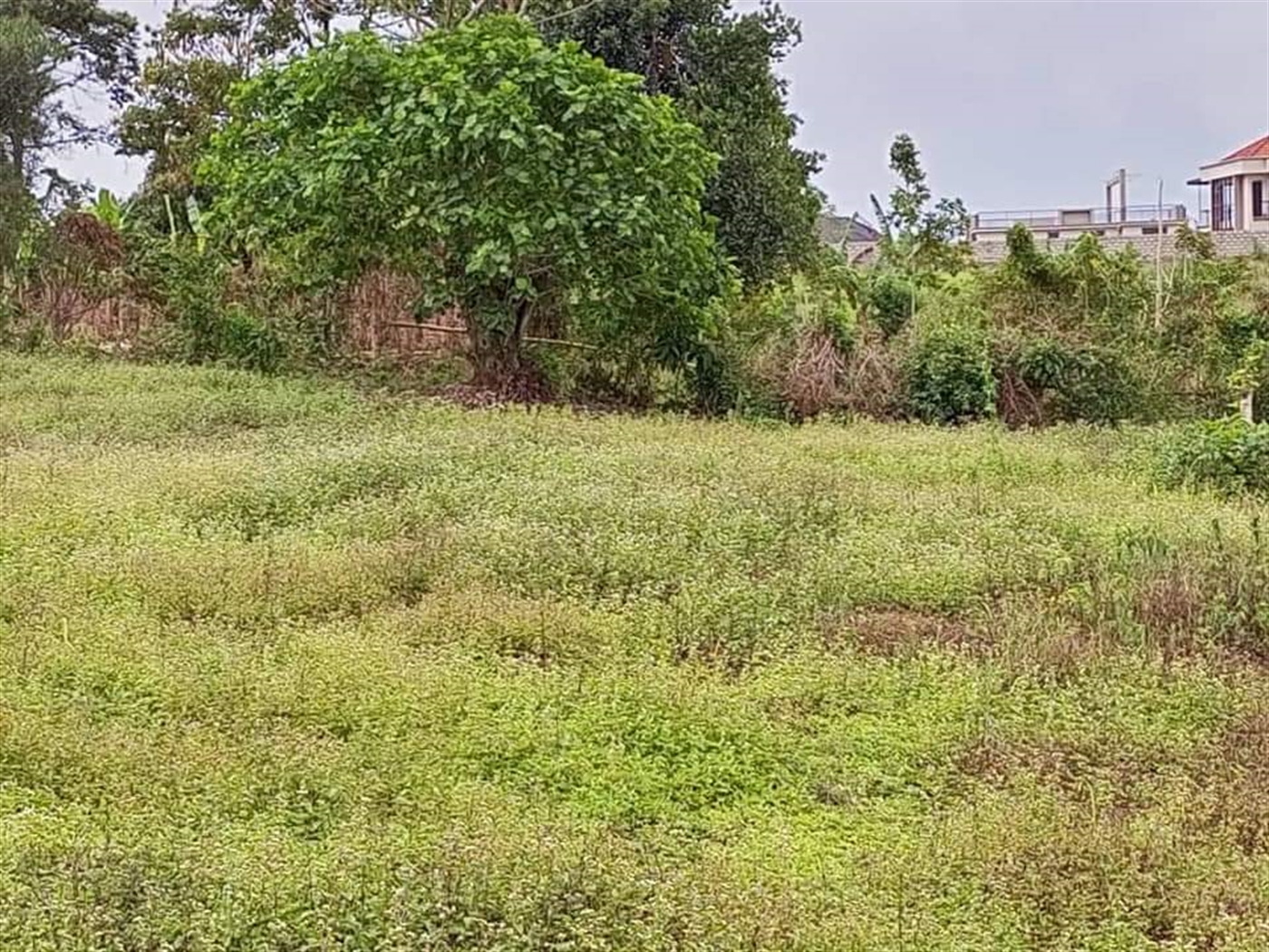 Residential Land for sale in Namugongo Wakiso