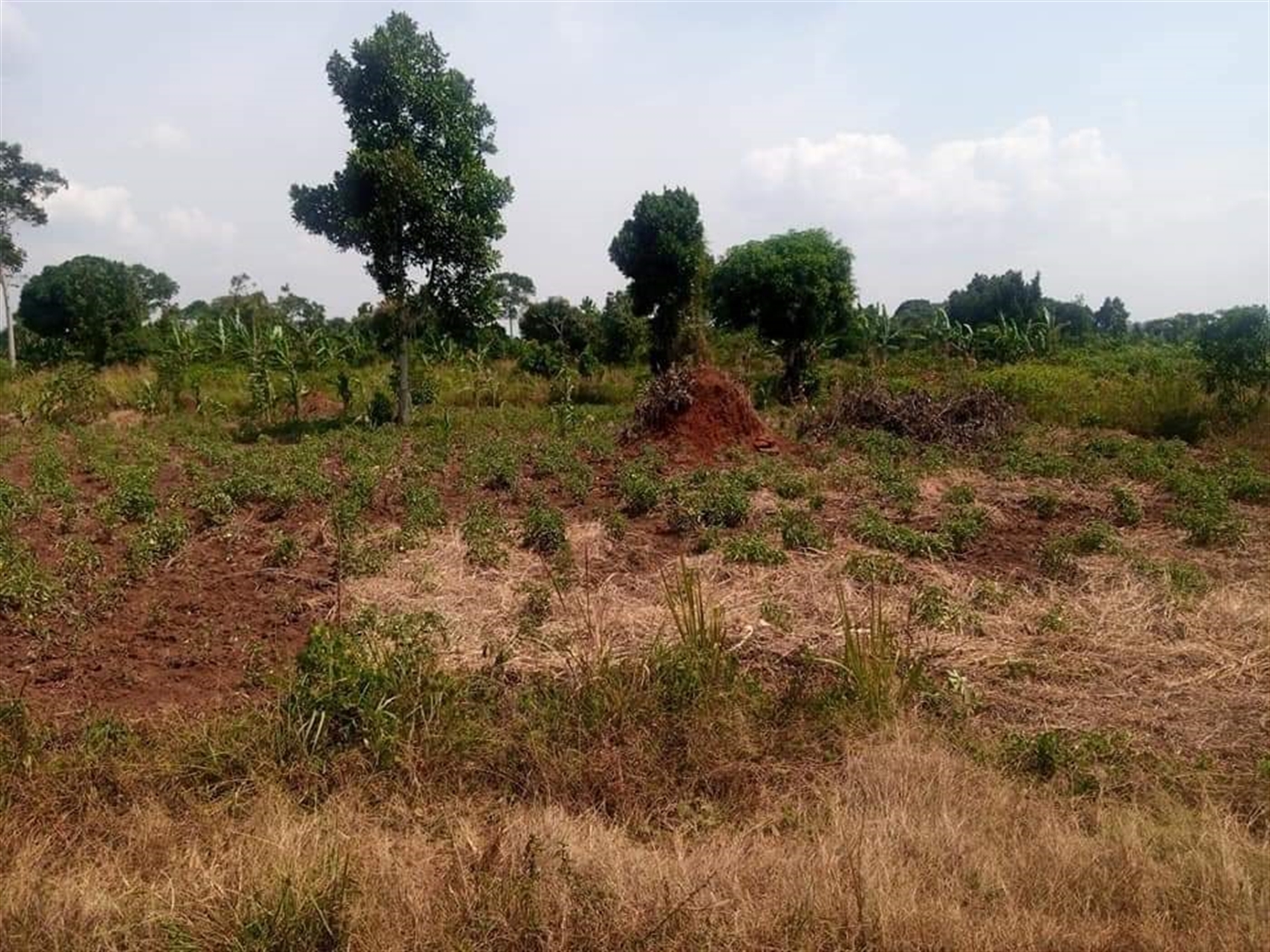 Residential Land for sale in Nakassajja Wakiso