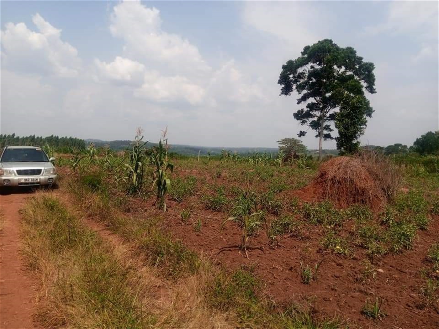 Residential Land for sale in Nakassajja Wakiso