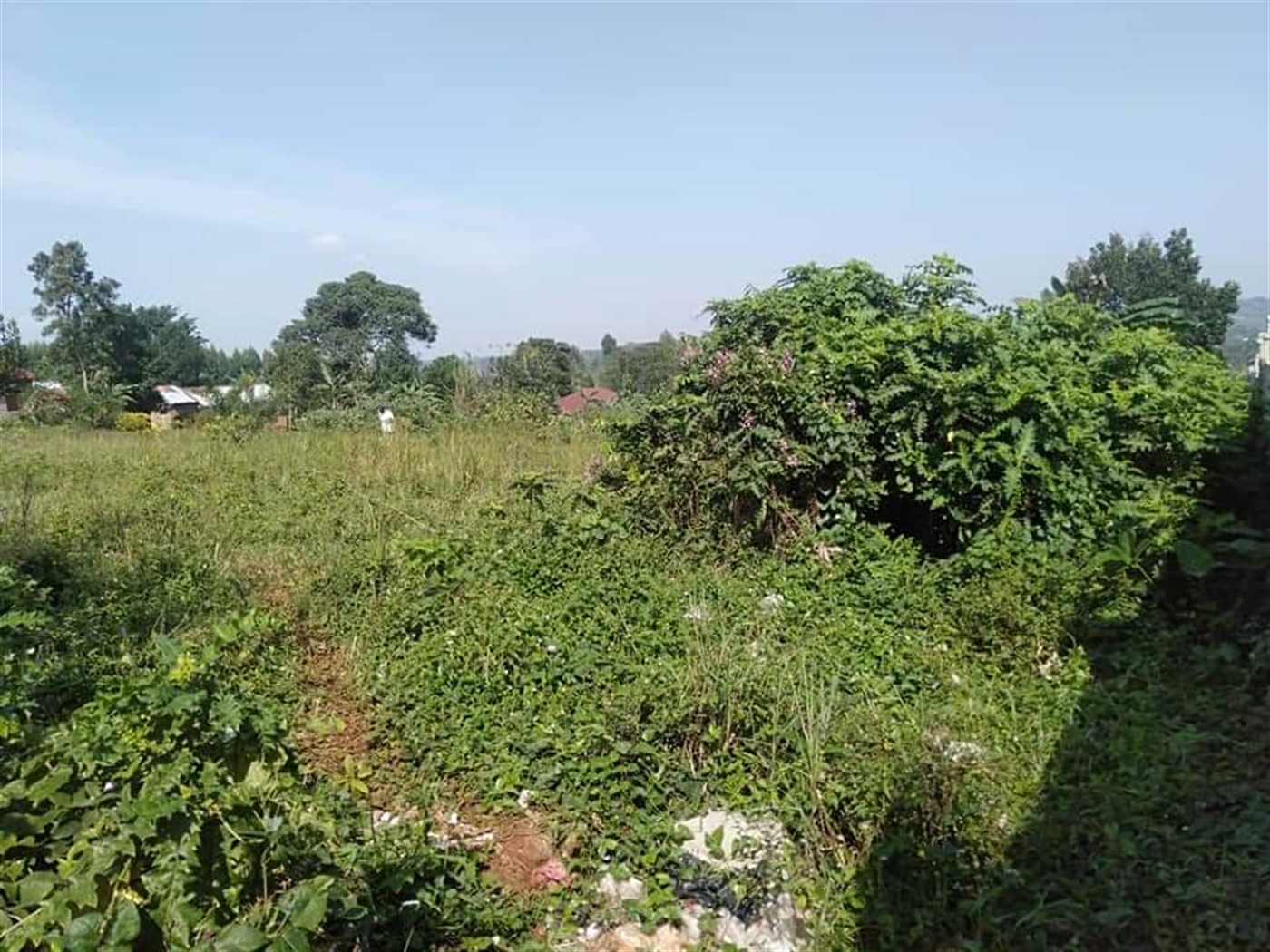 Residential Land for sale in Kitende Kampala