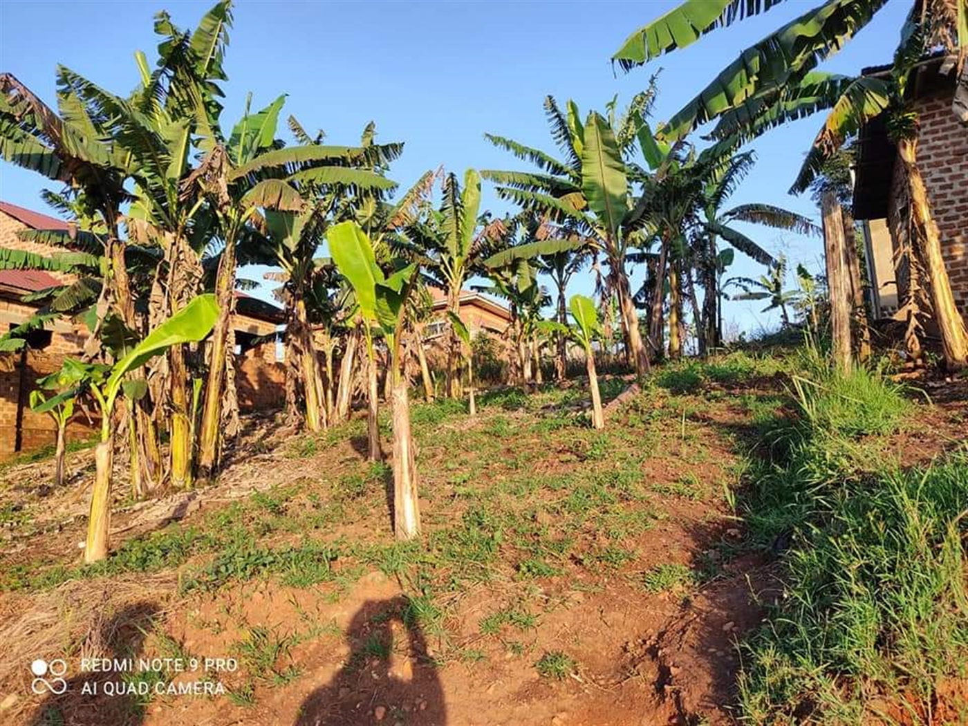 Residential Land for sale in Kira Wakiso