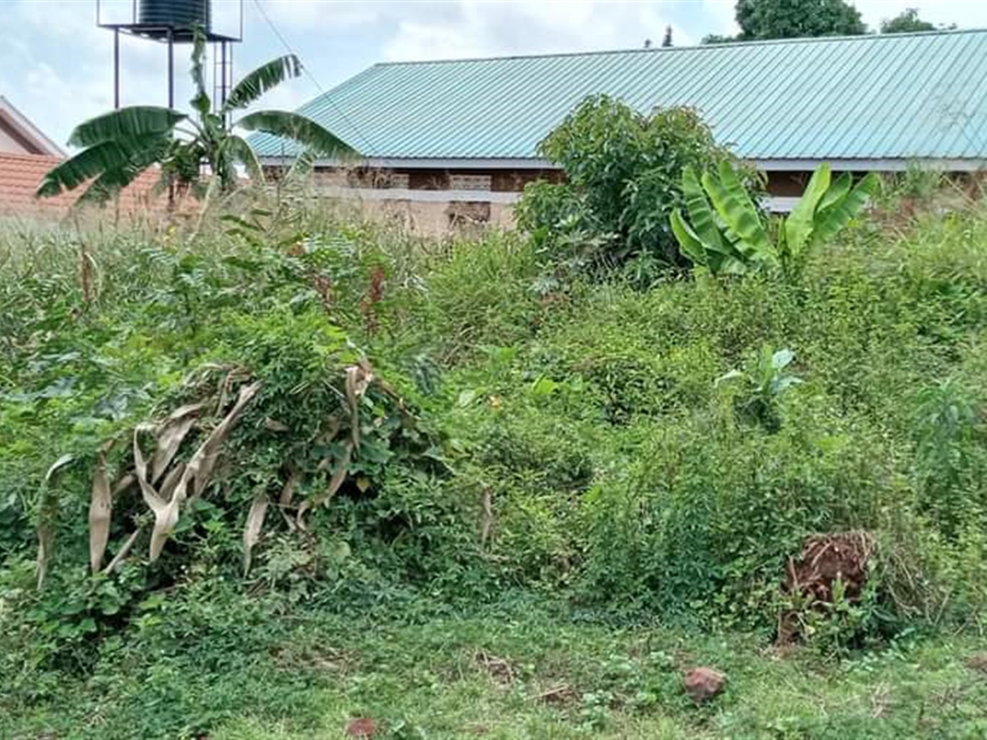 Residential Land for sale in Ntinda Kampala