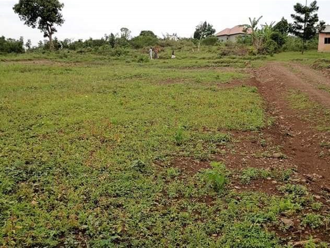 Residential Land for sale in Gayaza Wakiso