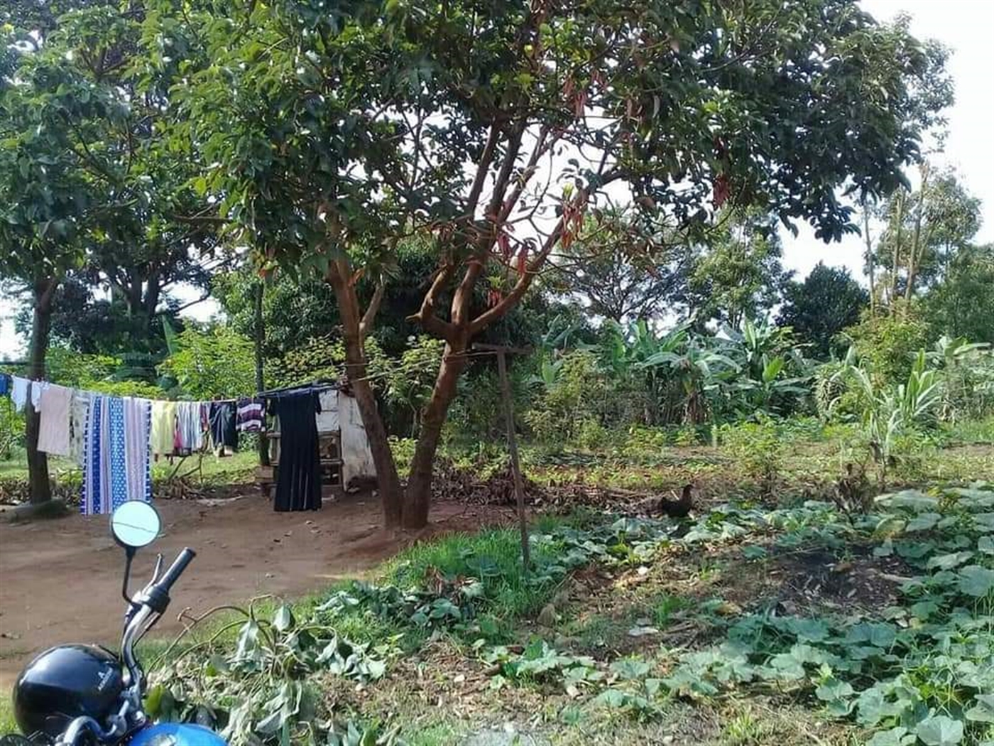 Residential Land for sale in Kumunaana Wakiso