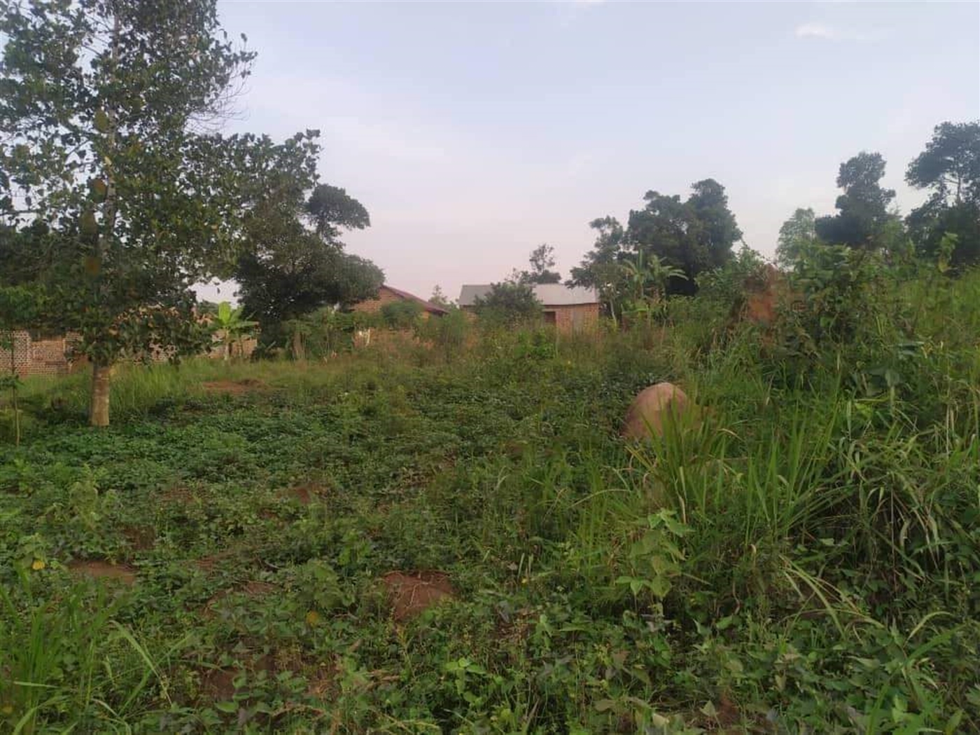 Residential Land for sale in Namugongo Wakiso