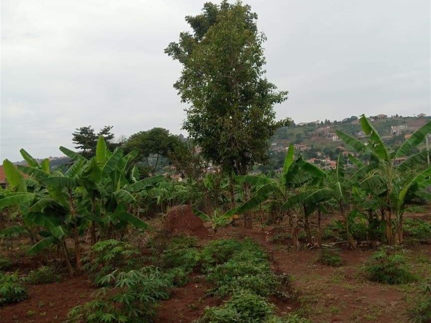 Residential Land for sale in Kitende Kampala