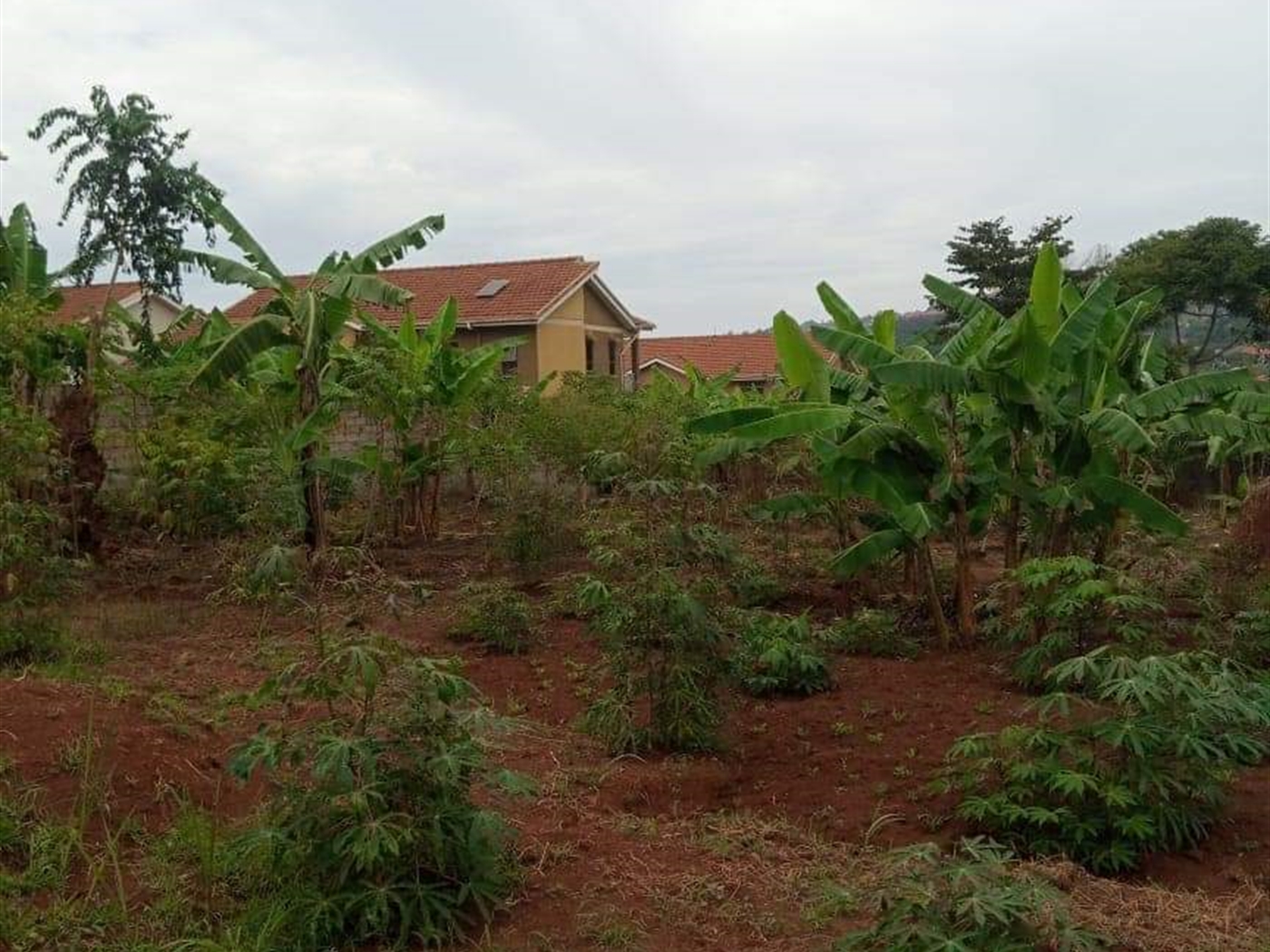 Residential Land for sale in Kitende Kampala