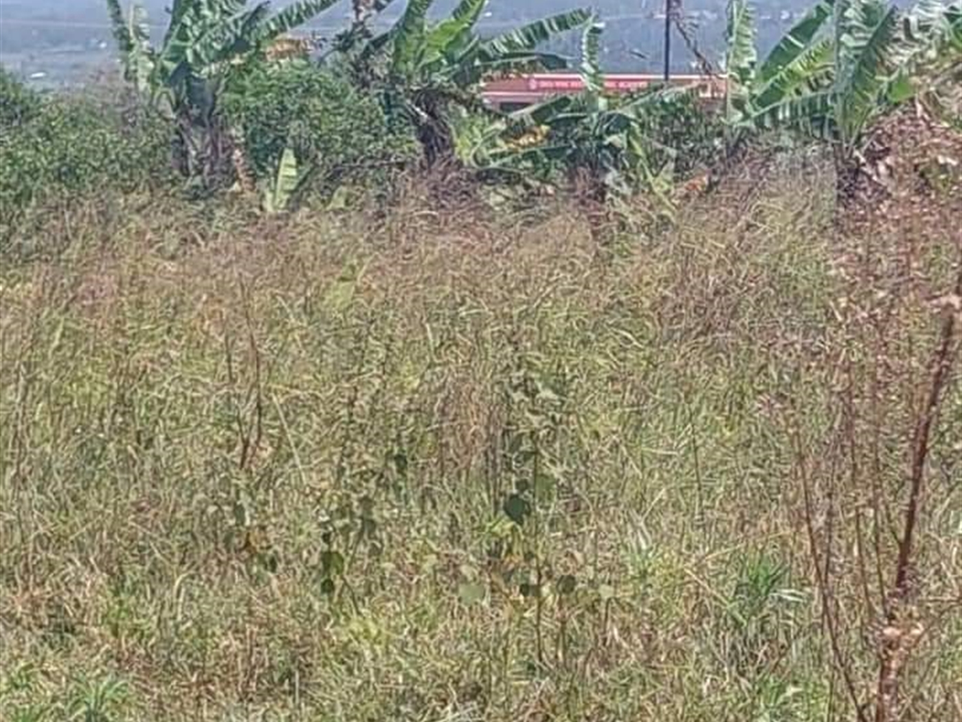 Residential Land for sale in Nakassajja Wakiso