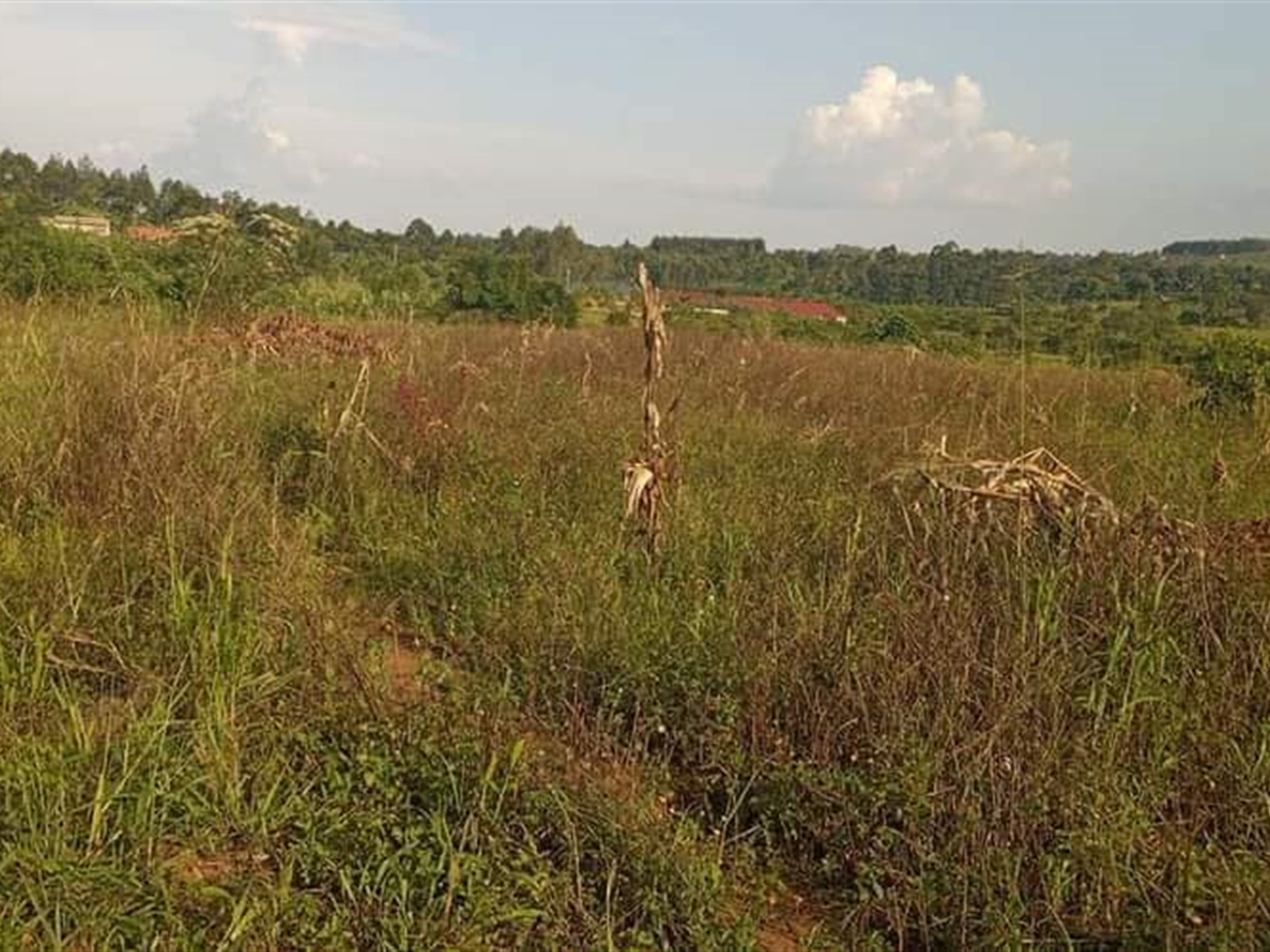 Residential Land for sale in Busiika Wakiso