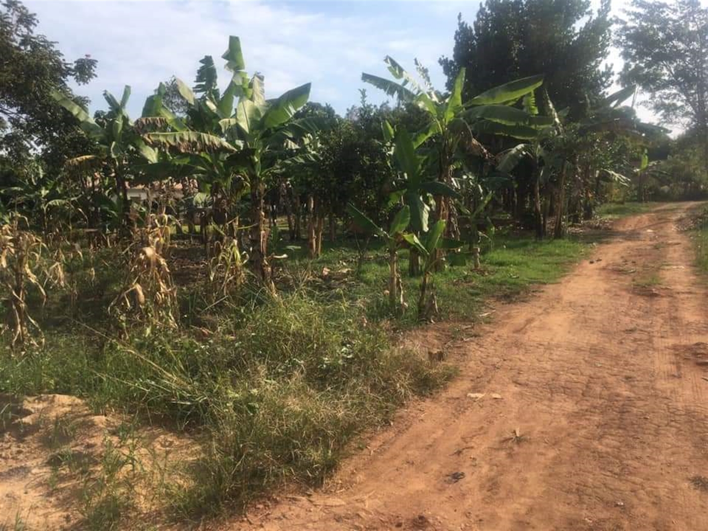 Residential Land for sale in Busukuma Wakiso