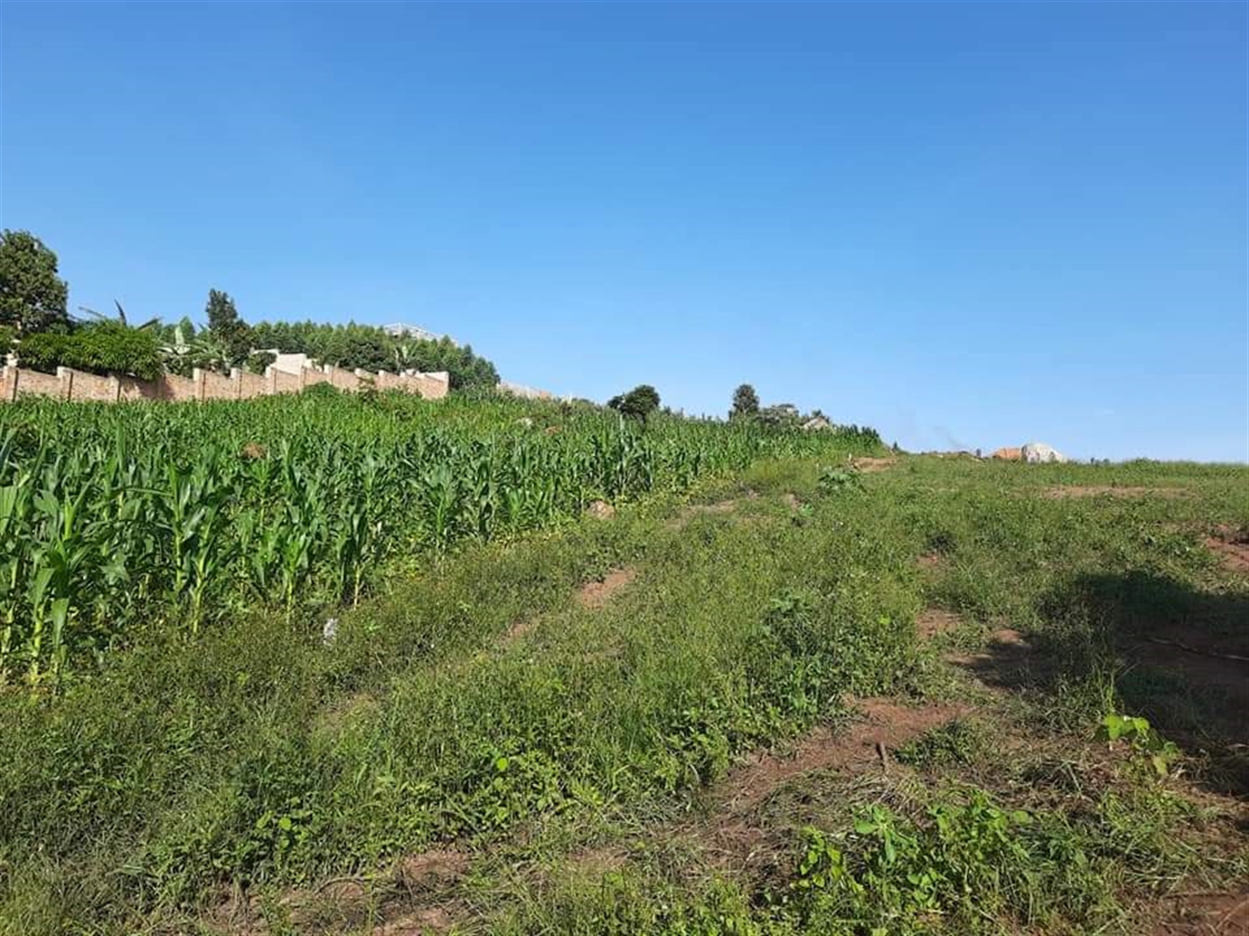 Residential Land for sale in Namugongo Wakiso