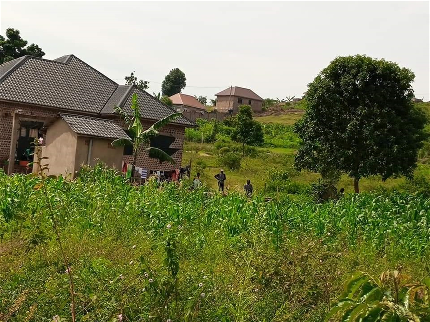 Residential Land for sale in Namugongo Wakiso