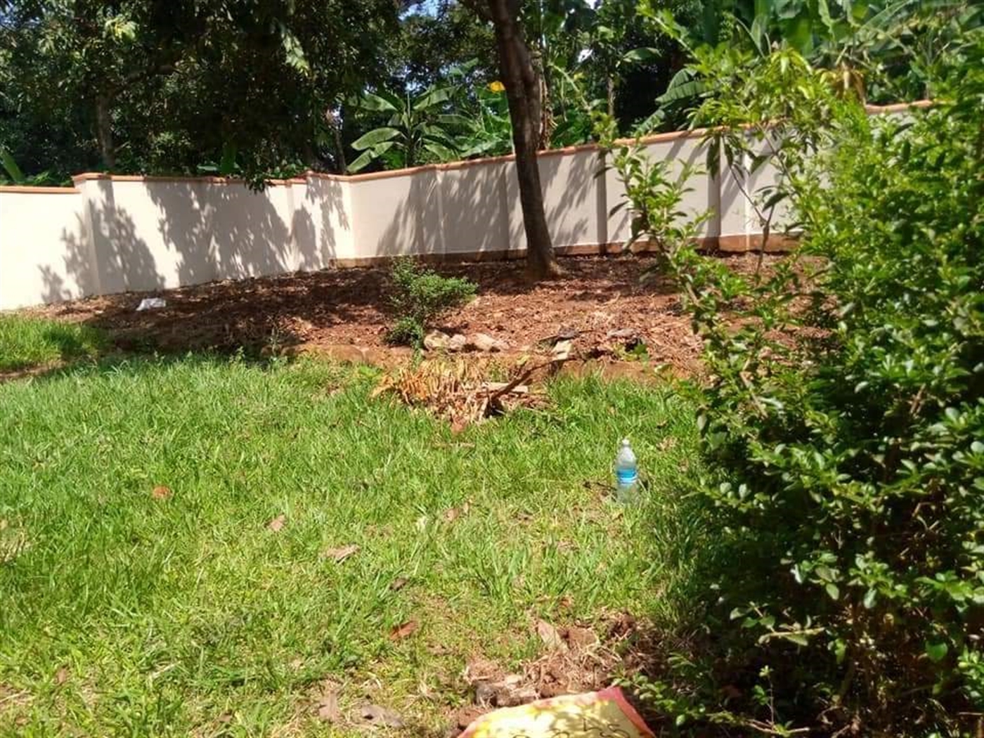 Bungalow for rent in Kisaasi Kampala