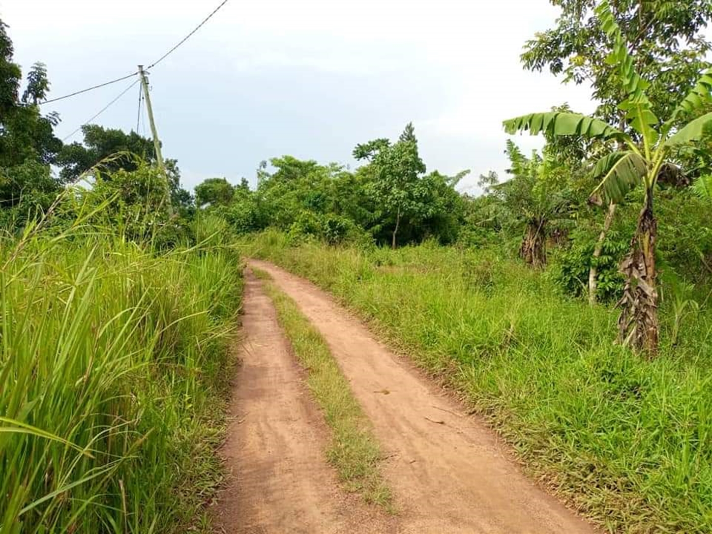 Residential Land for sale in Namugongo Wakiso