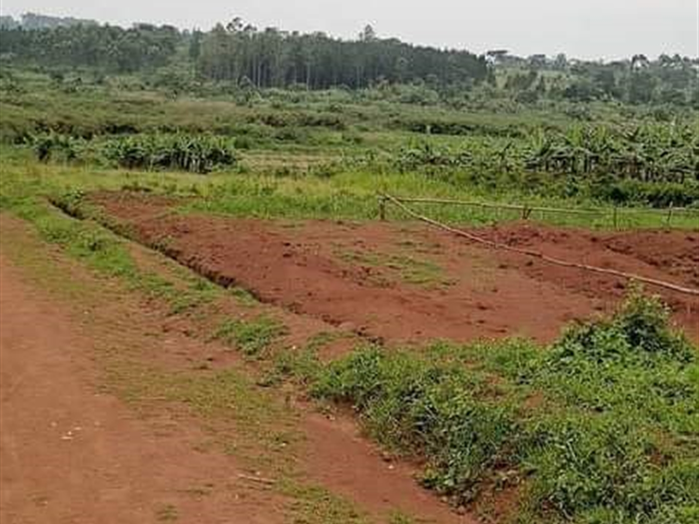 Residential Land for sale in Gayaza Wakiso