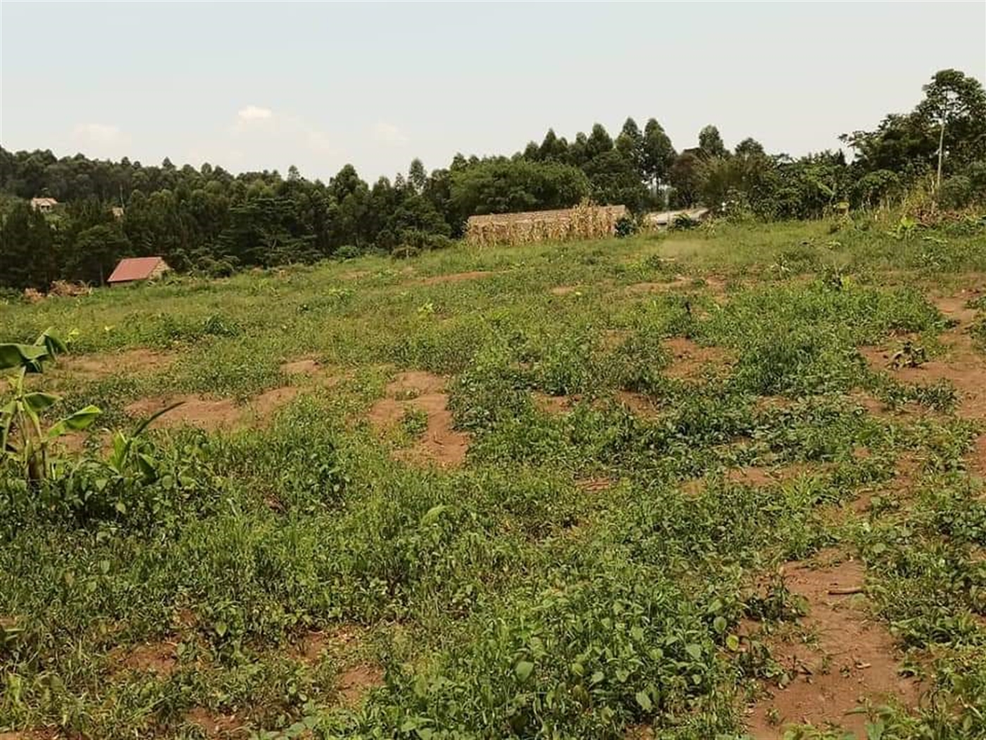 Residential Land for sale in Matugga Wakiso