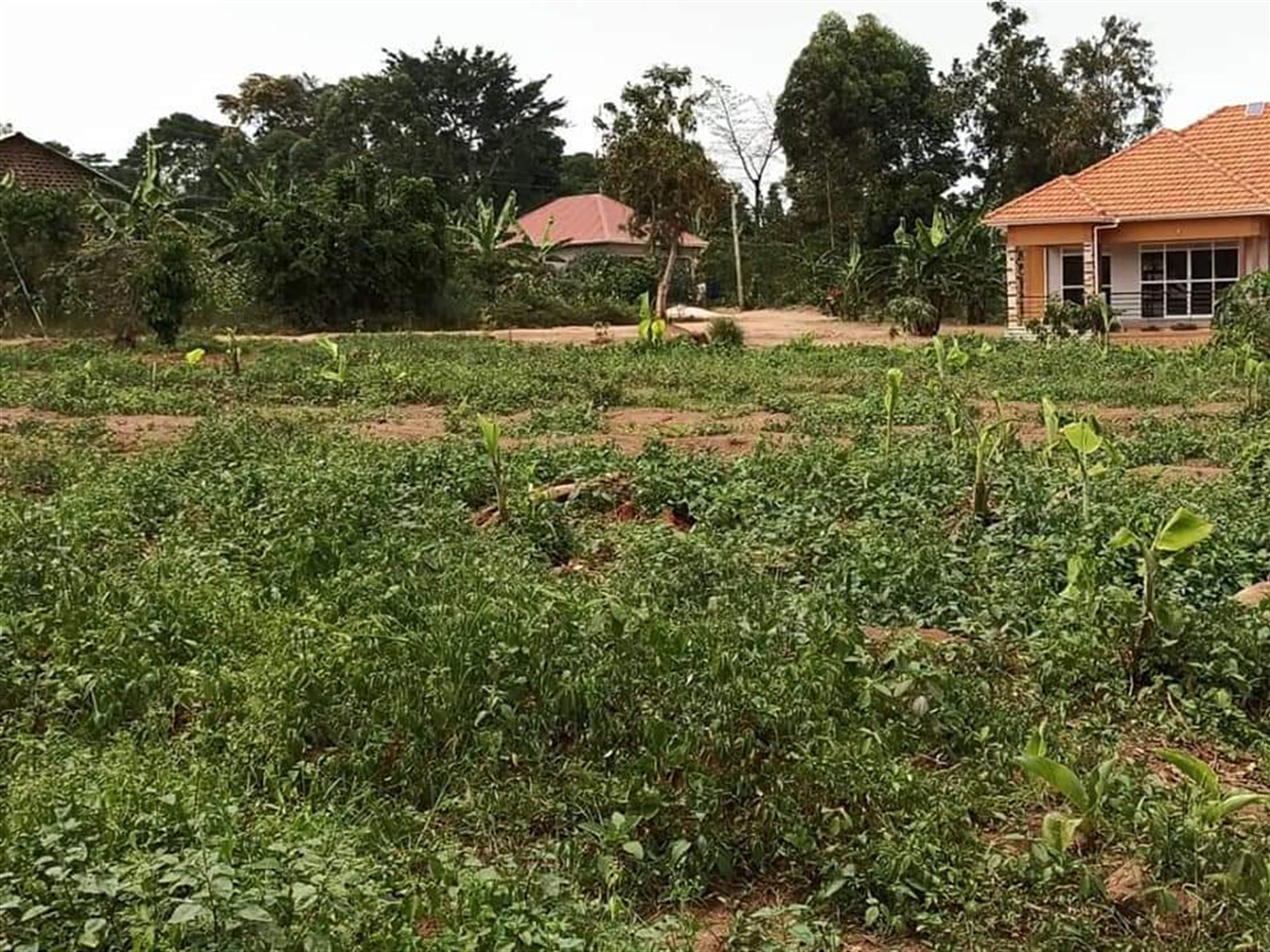 Residential Land for sale in Matugga Wakiso