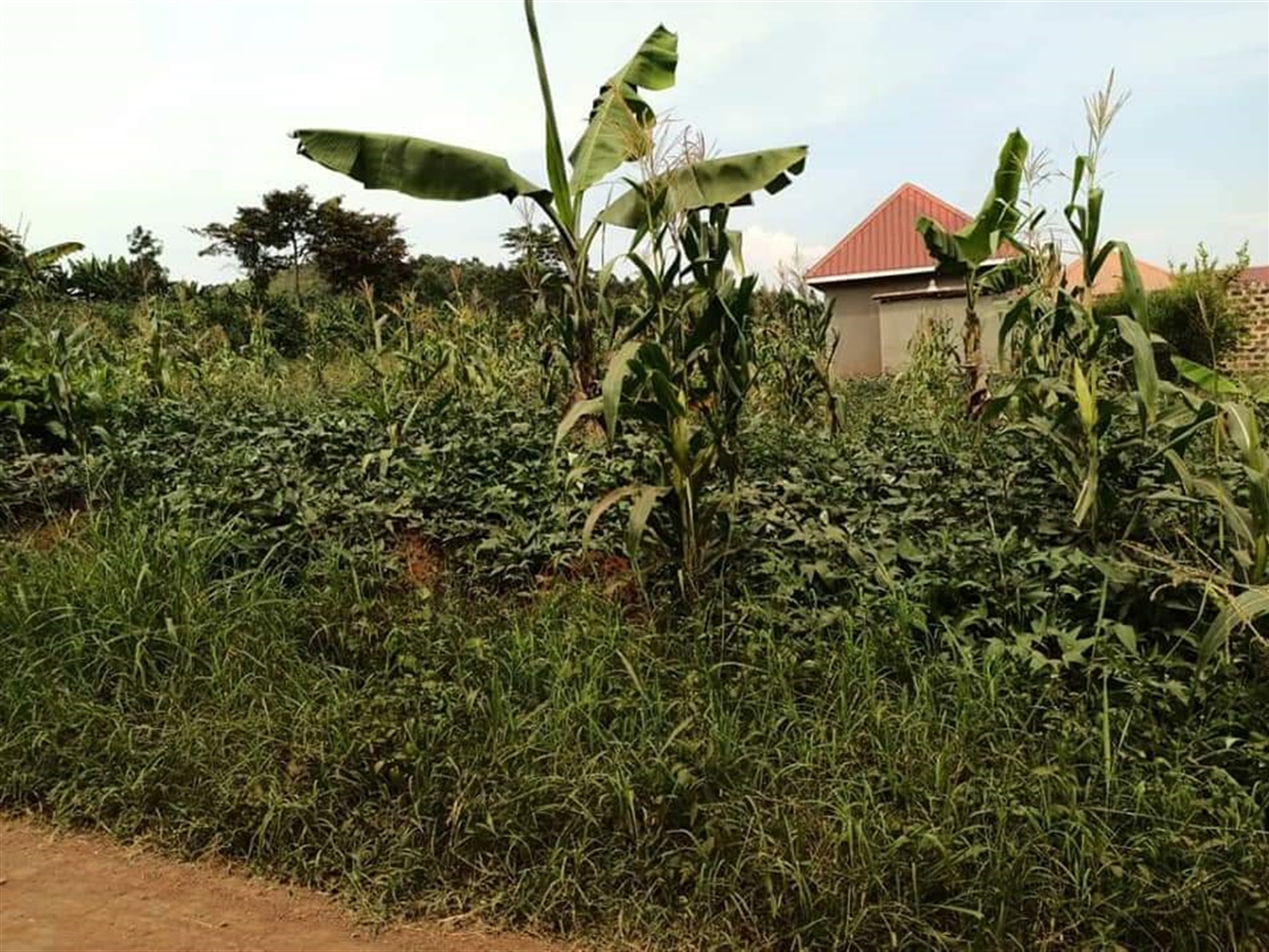 Residential Land for sale in Matugga Wakiso