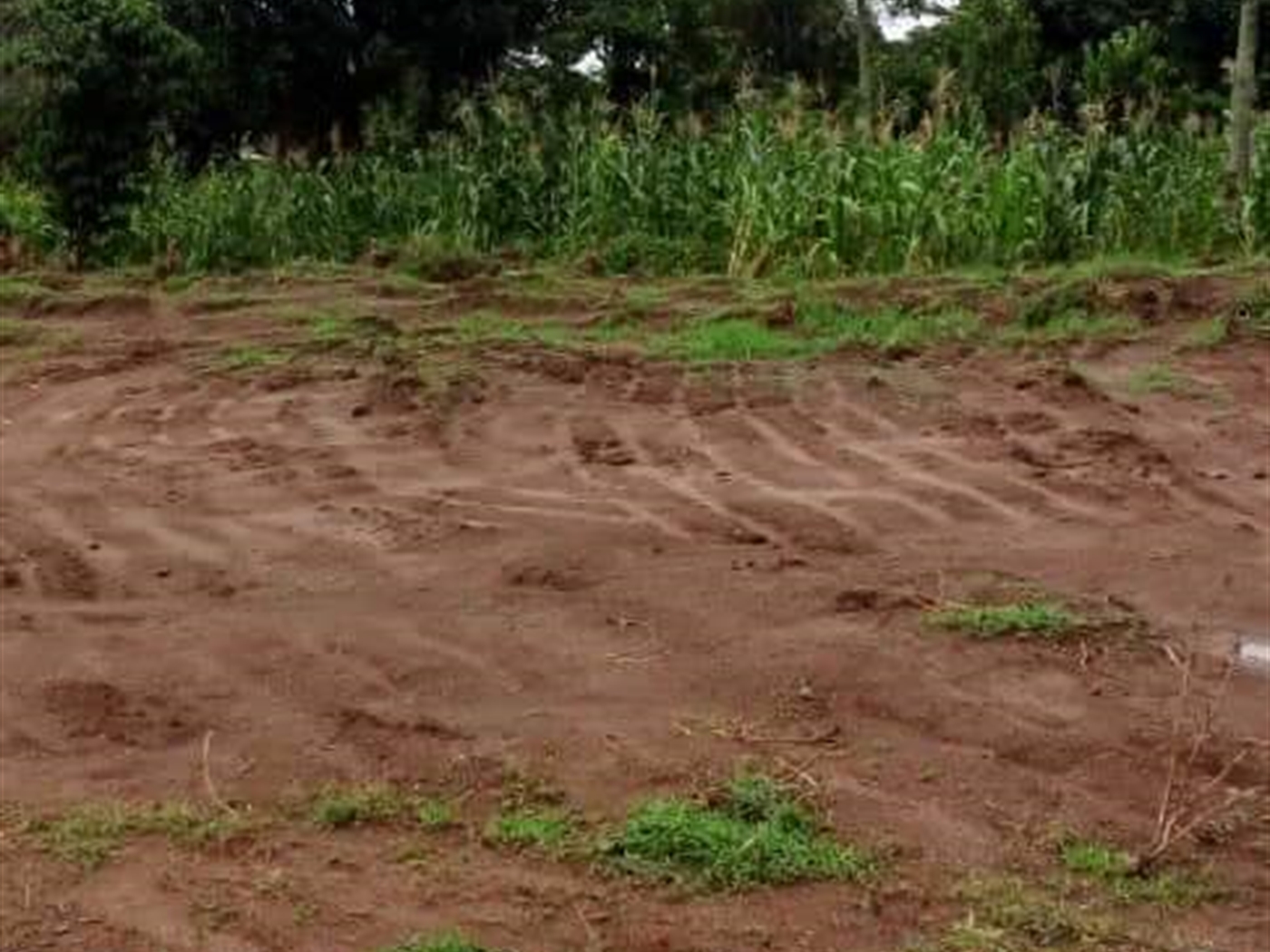 Residential Land for sale in Matugga Wakiso