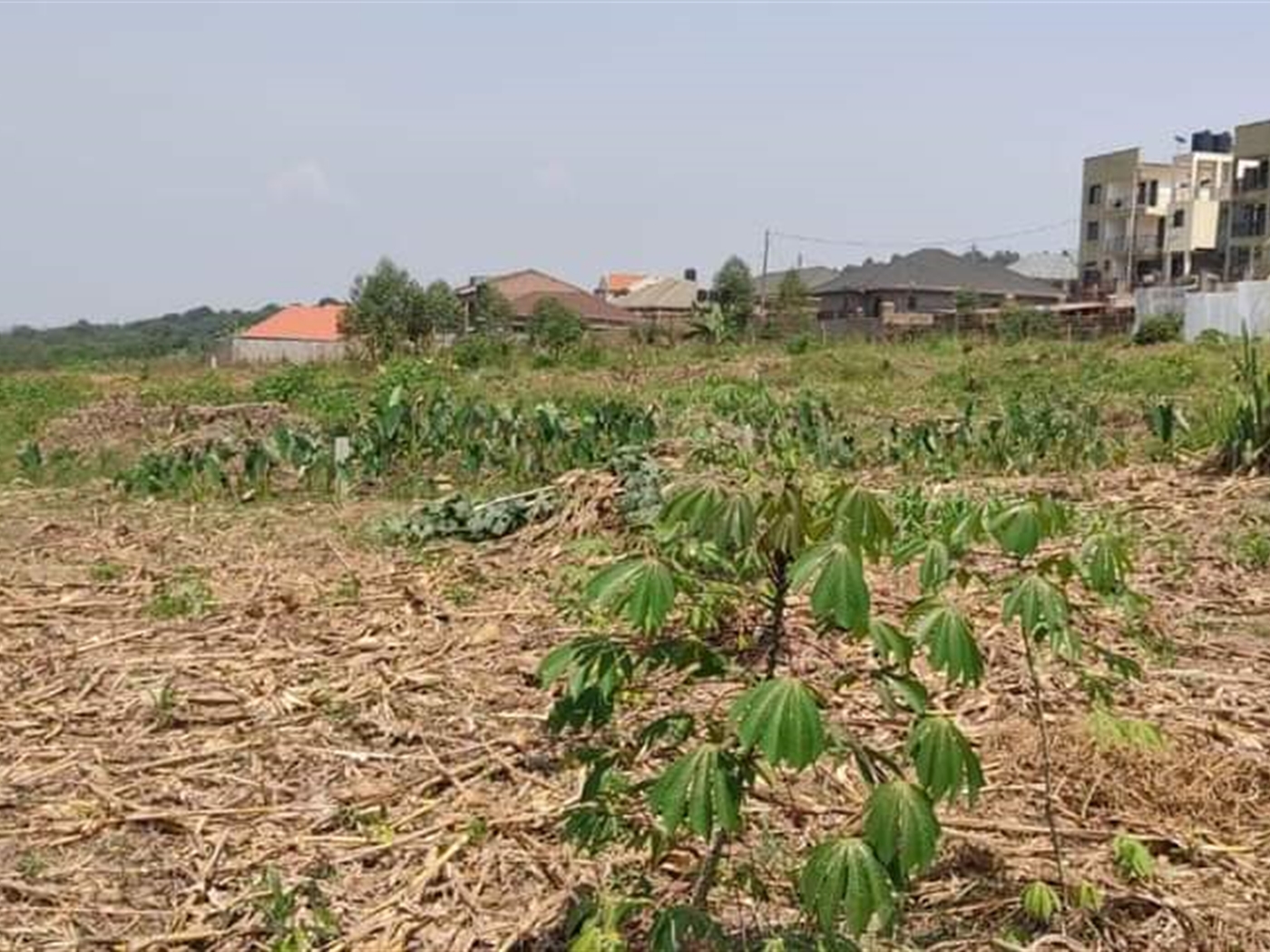 Residential Land for sale in Kira Wakiso