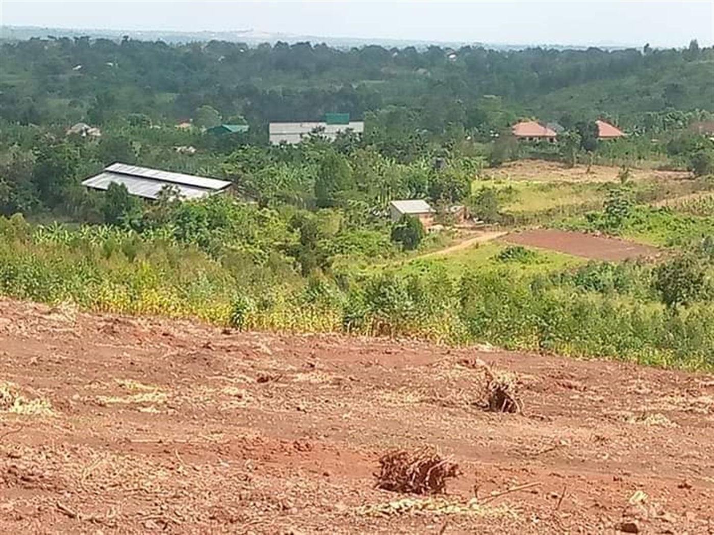 Residential Land for sale in Busiika Wakiso