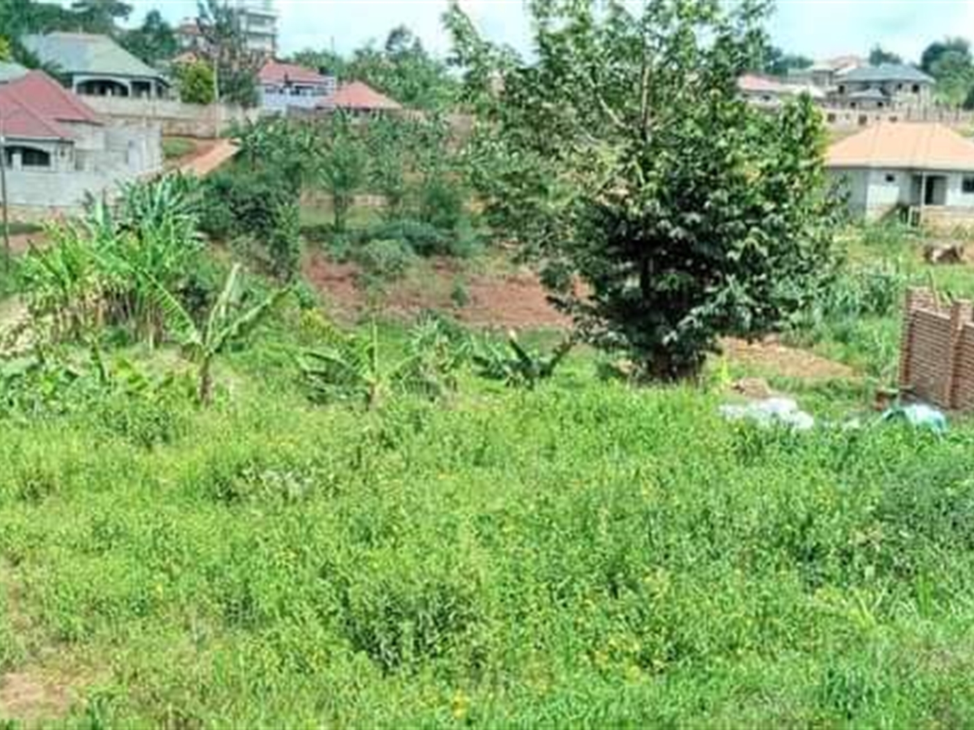 Residential Land for sale in Nabutti Mukono