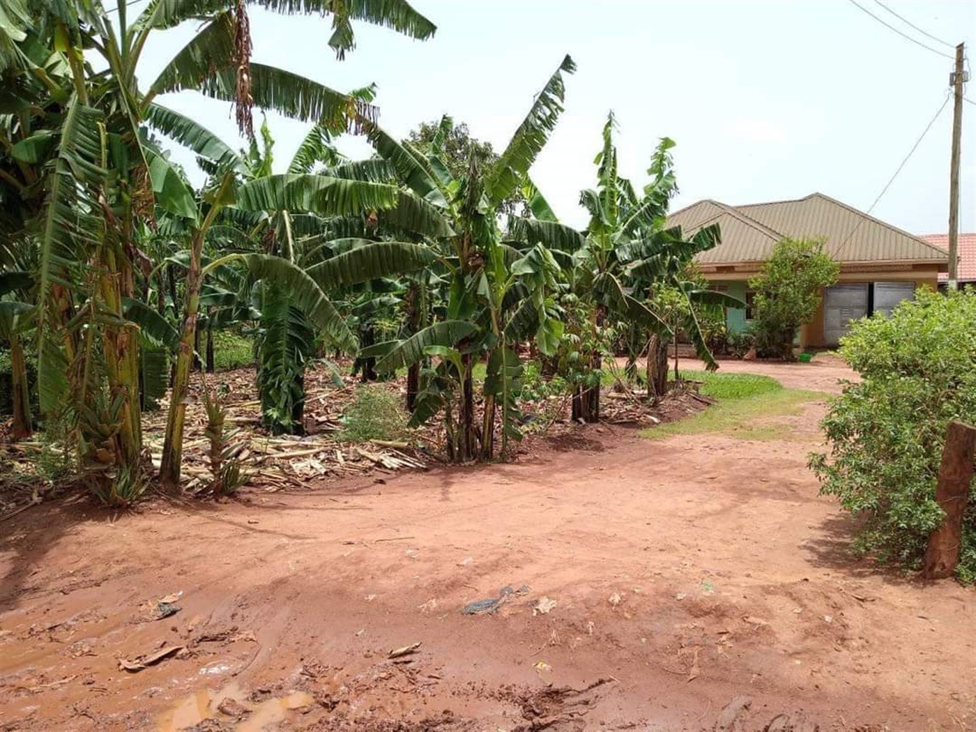 Bungalow for sale in Gayaza Wakiso