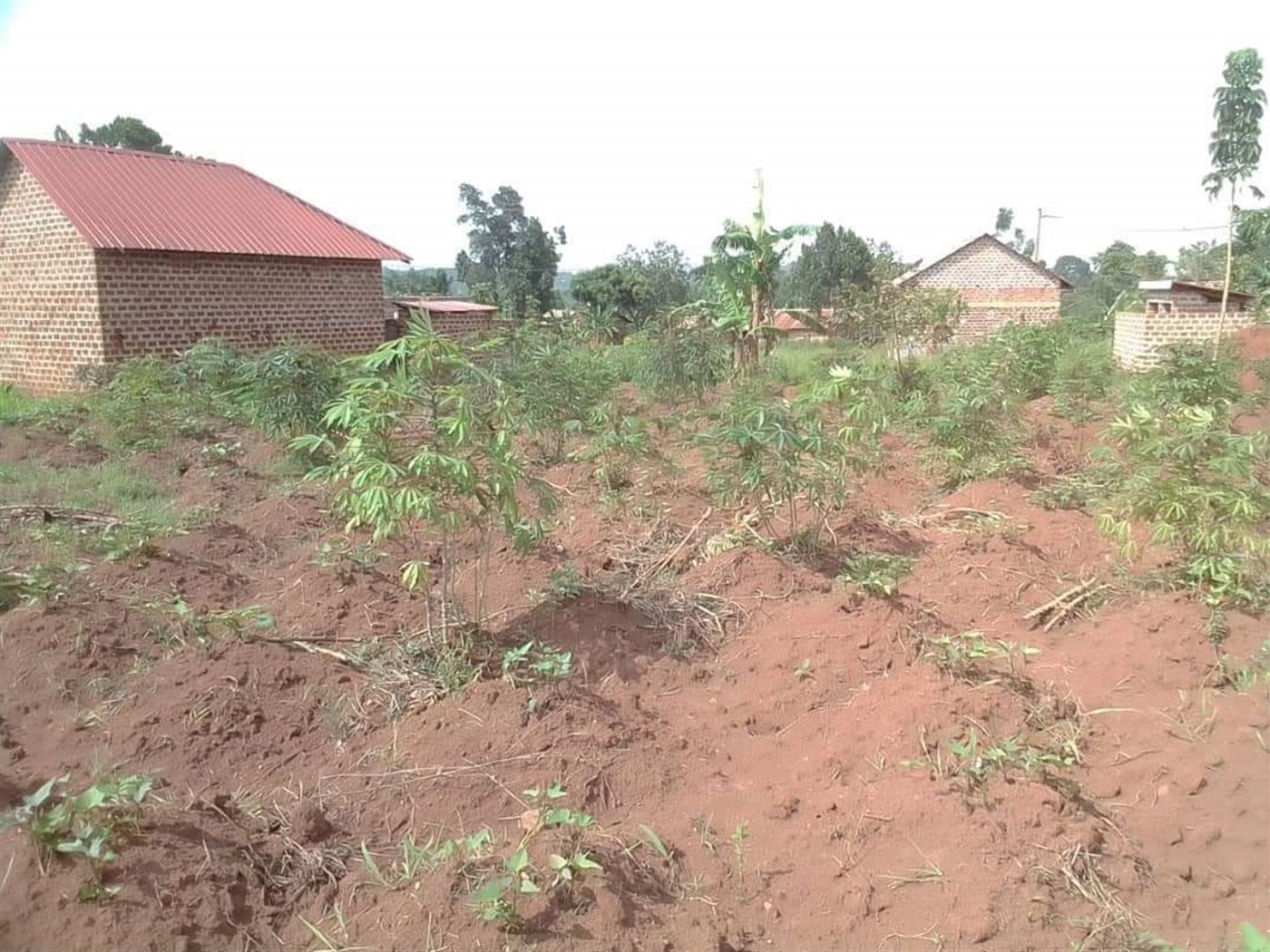 Residential Land for sale in Sonde Wakiso